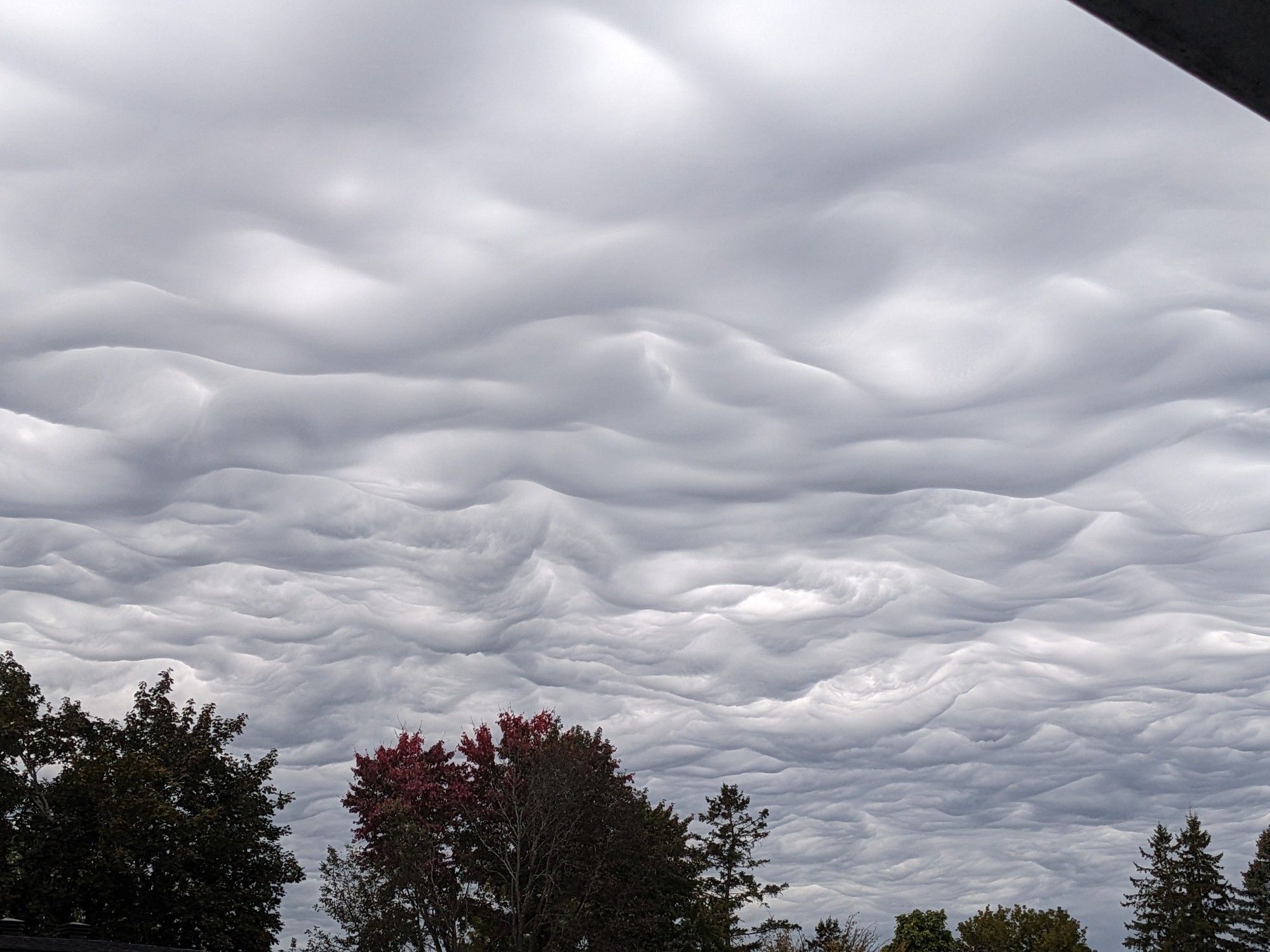 Flat, low, undulating cloud layer. Like a focaccia.