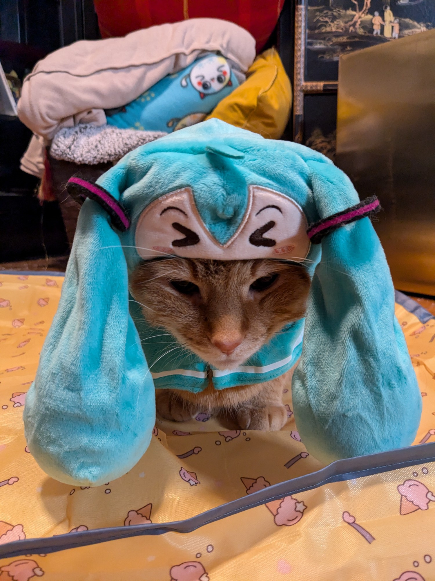 Photo of a VERY angry orange tabby cat wearing a Miku hat with plushie pigtails