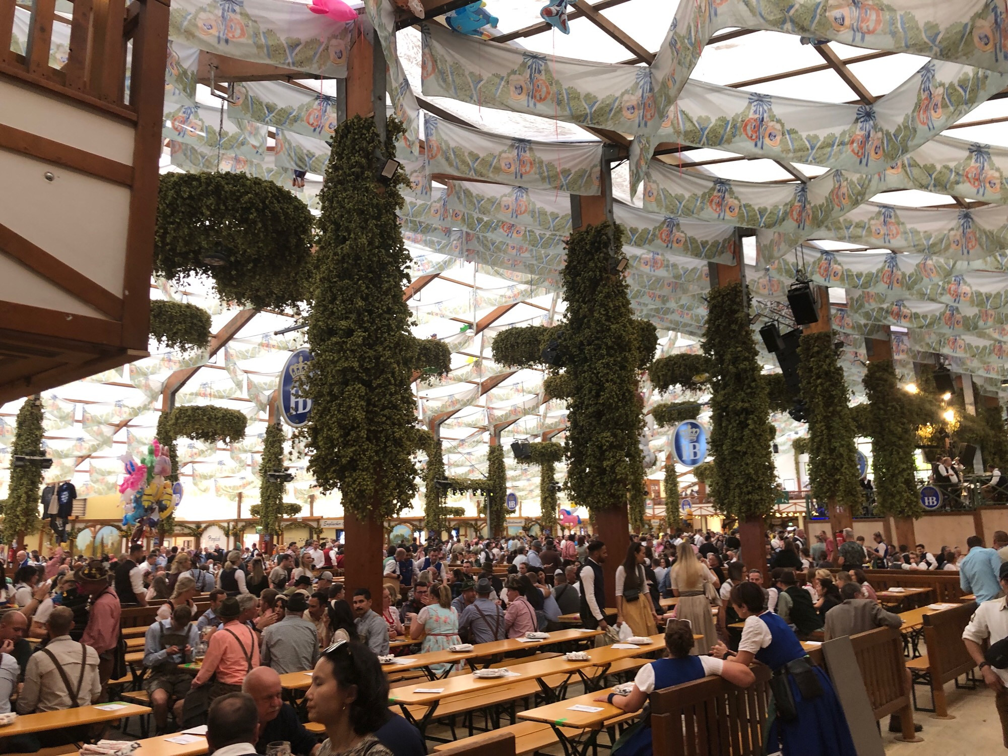 Inside the HB beer garden. Banners line the ceiling, and hops plants adorn the pillars. Hundreds at tables drink and celebrate