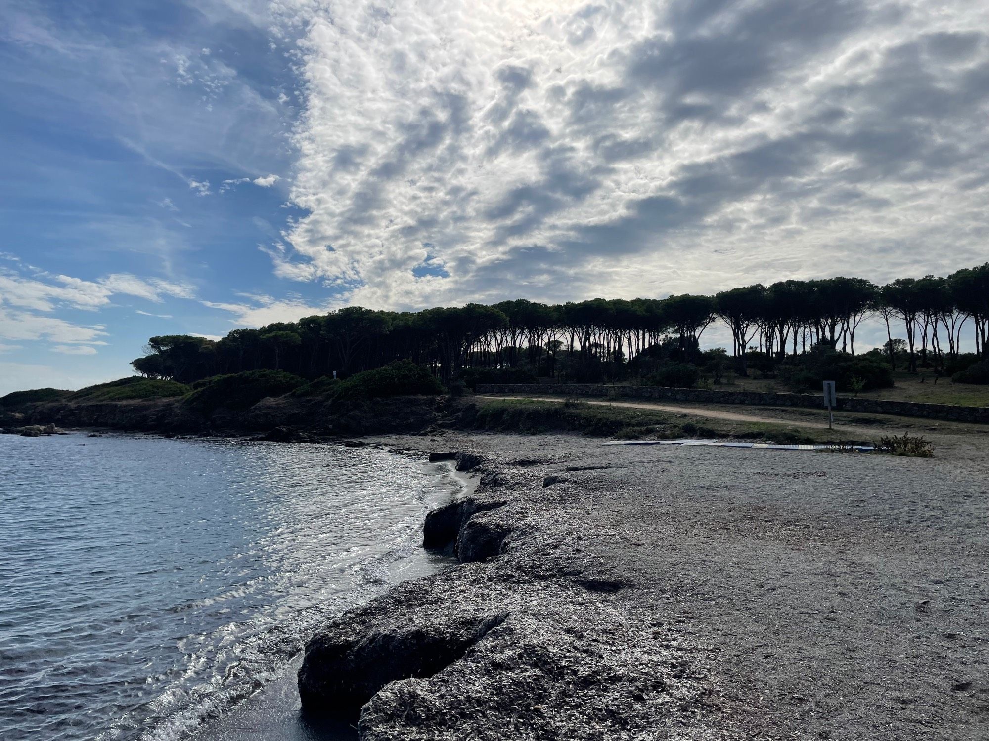 Strand und Pinienwäldchen