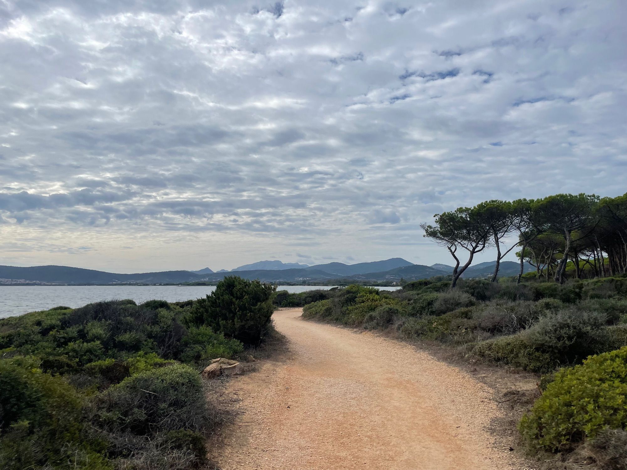 Nicht, Meer, Berge, Pinien, Wolken