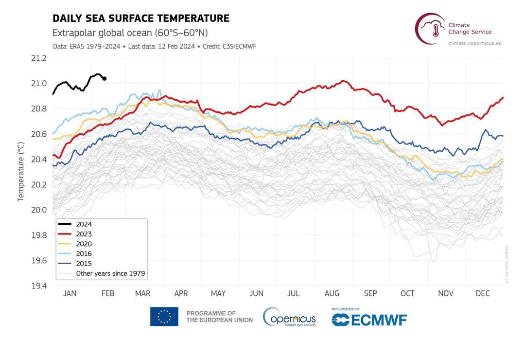 Daily sea surface temperature