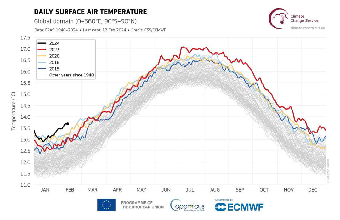 Daily surface air temperature