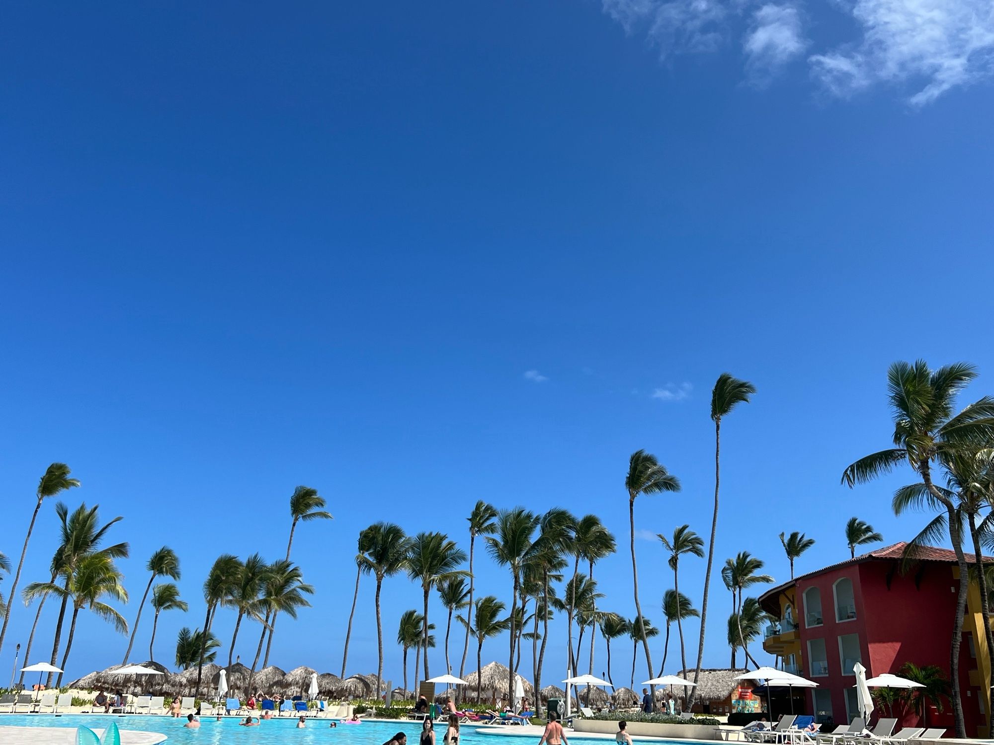 Ciel bleu et palmier de punta cana