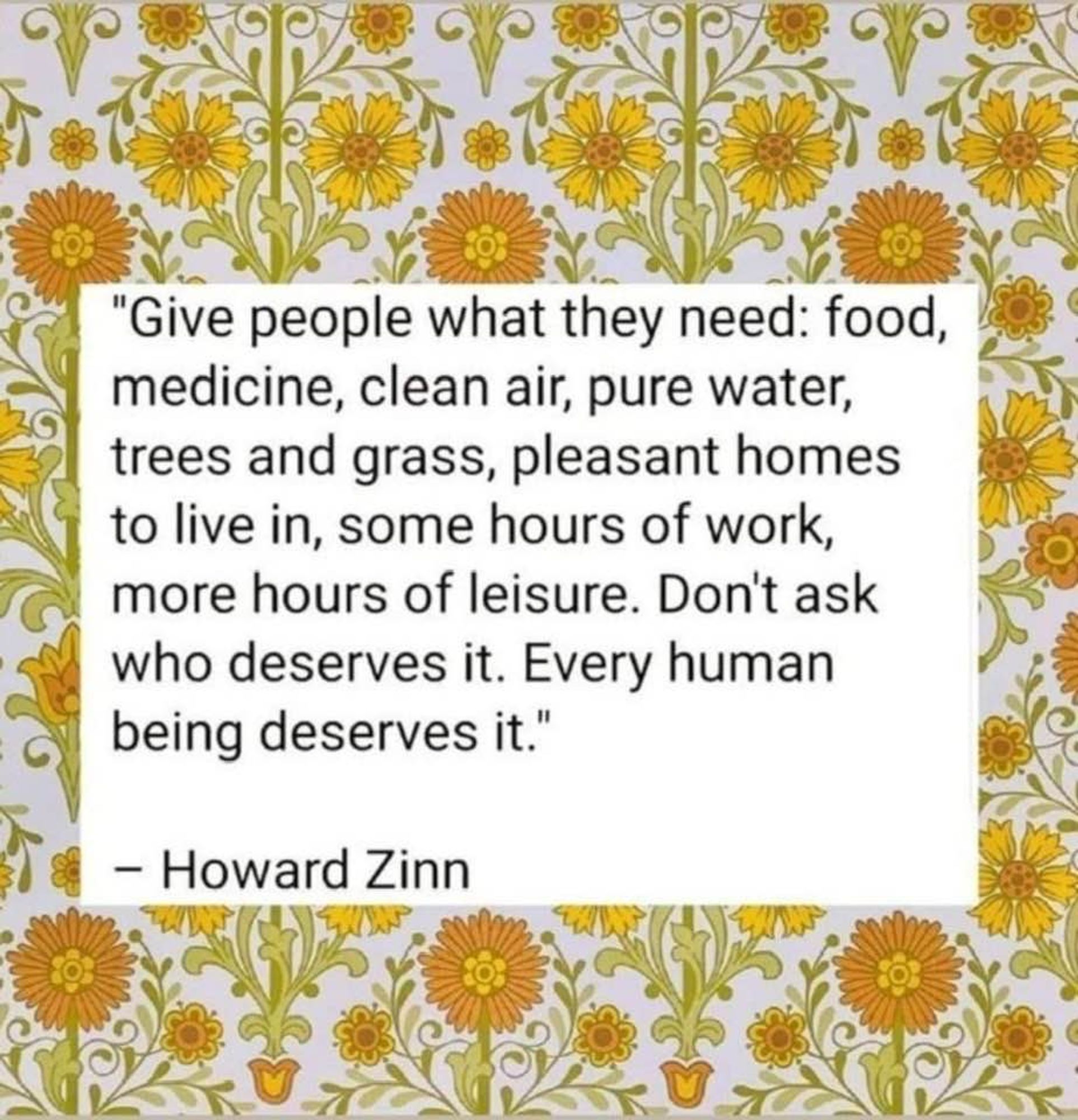 A quote by Howard Zinn is displayed on a floral wallpaper: "Give people what they need: food, medicine, clean air, pure water, trees and grass, pleasant homes to live in, some hours of work, more hours of leisure. Don't ask who deserves it. Every human being deserves it.