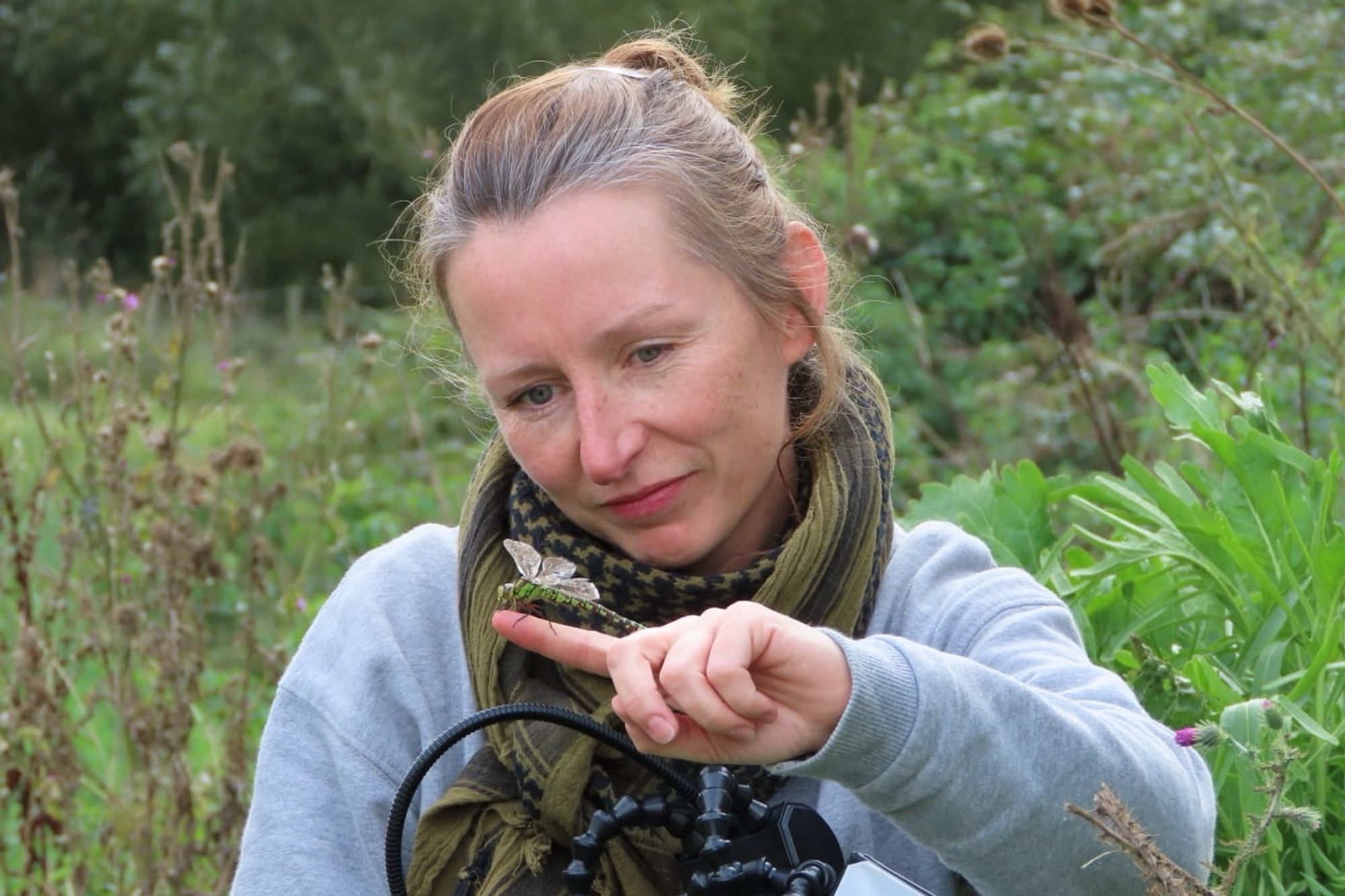 Gail Ashton watching as a Southern Hawker dragonfly perches on her finger.