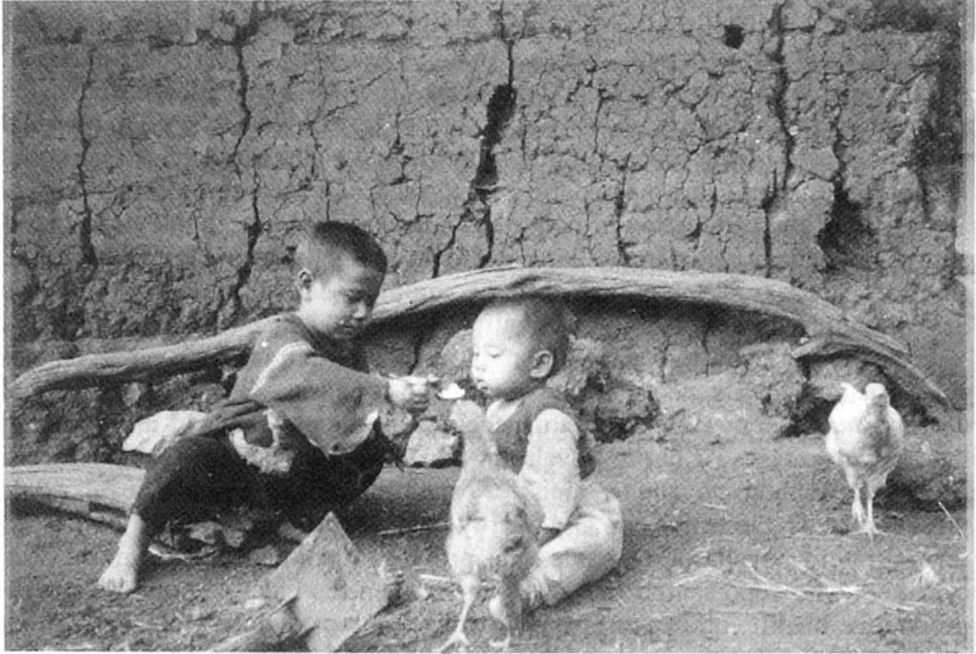 Black and white photograph of two children sitting on the ground  in front of an earthen wall, surrounded by chickens, with the elder child feeding the younger one. The photograph was taken in 1996 by Zhu Yu Zhen (then 42) a participant in Caroline Wang and Mary Ann Burris' flagship 'Photovoice' study that provided cameras and photography training to low-income women living in rural villages of Yunnan, China.