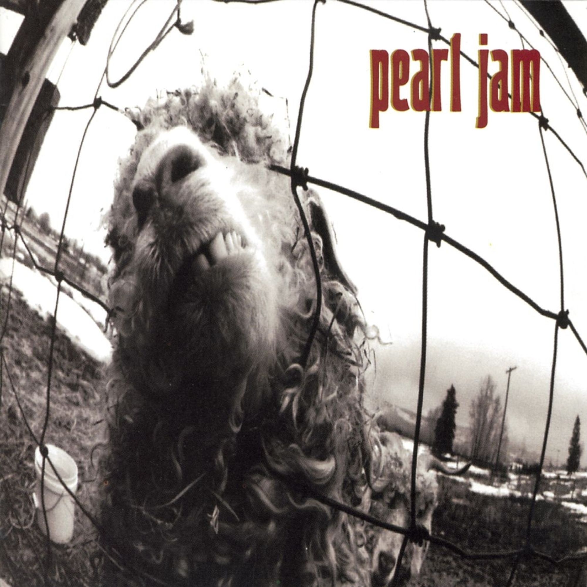 Pearl Jam - Vs.