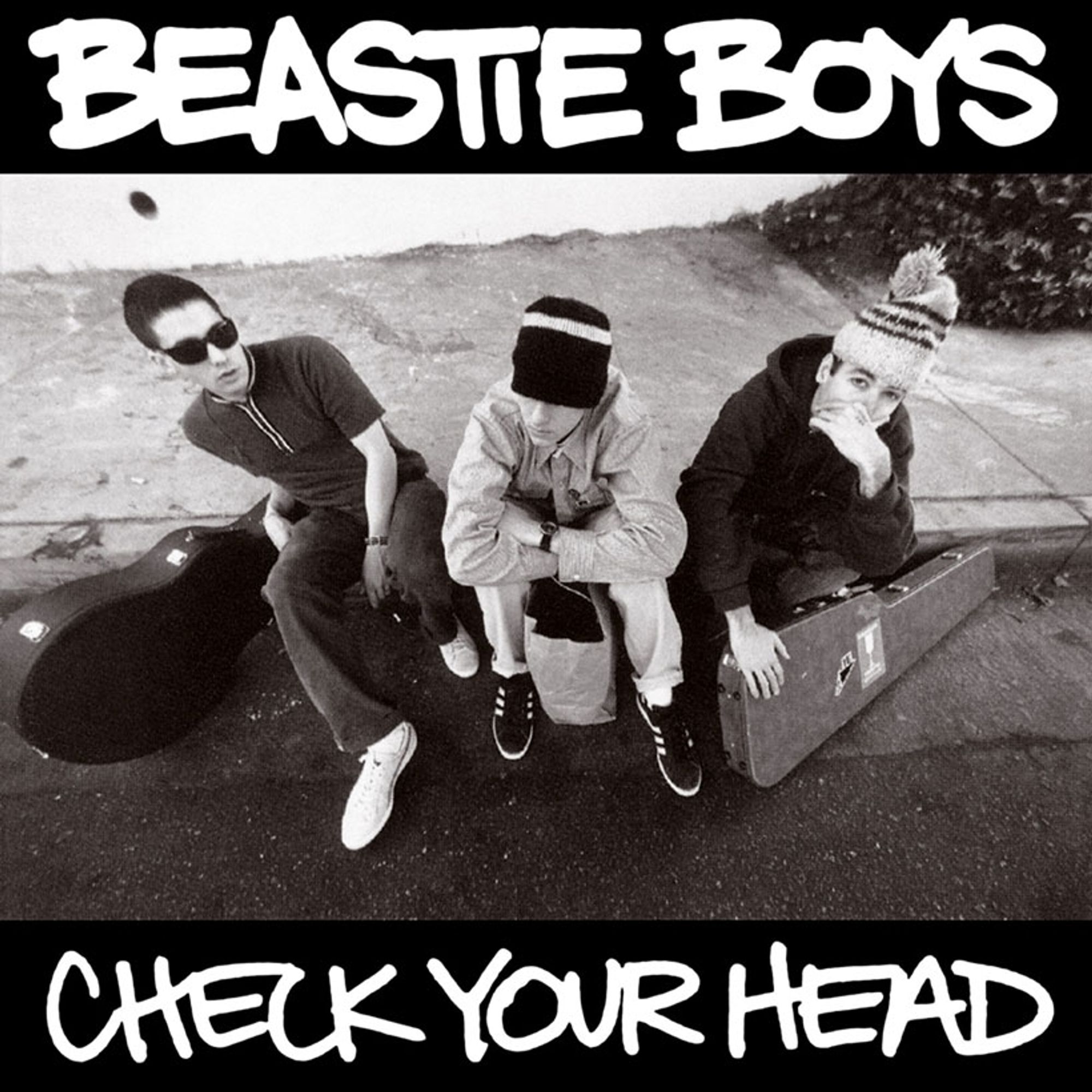 Beastie Boys - Check your head