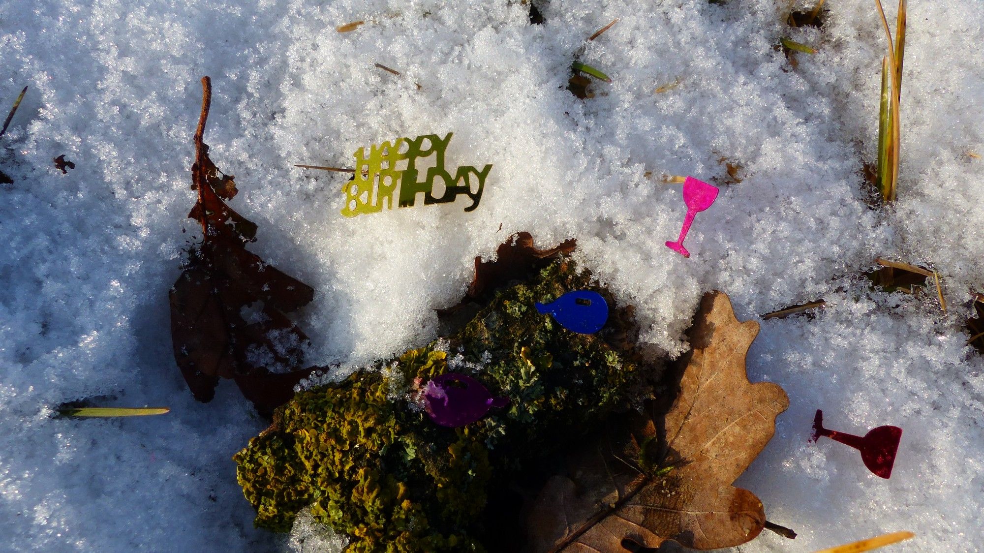 das bild zeigt eine nahaufnahme aus dem wald, freie natur mit etwas frühlings-schnee aststück mit moos und aluminium konfetti in form von wein glas und einem schriftzug mit happy birthday.
die unart, aluminium konfettis in der natur zu verstreuen ist unsinn. alu hält sich  sehr lange, niemand schmeisst eine colabüchse im wald weg, ausser er ist ein barbar