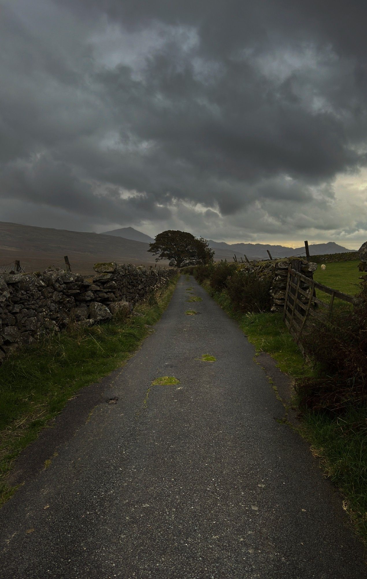 A narrow country lane leads off into the distance towards a tree. On both sides of the lane are high dry stone walls. The sky is dark grey with a small patch of lighter clouds on the right side of the horizon.