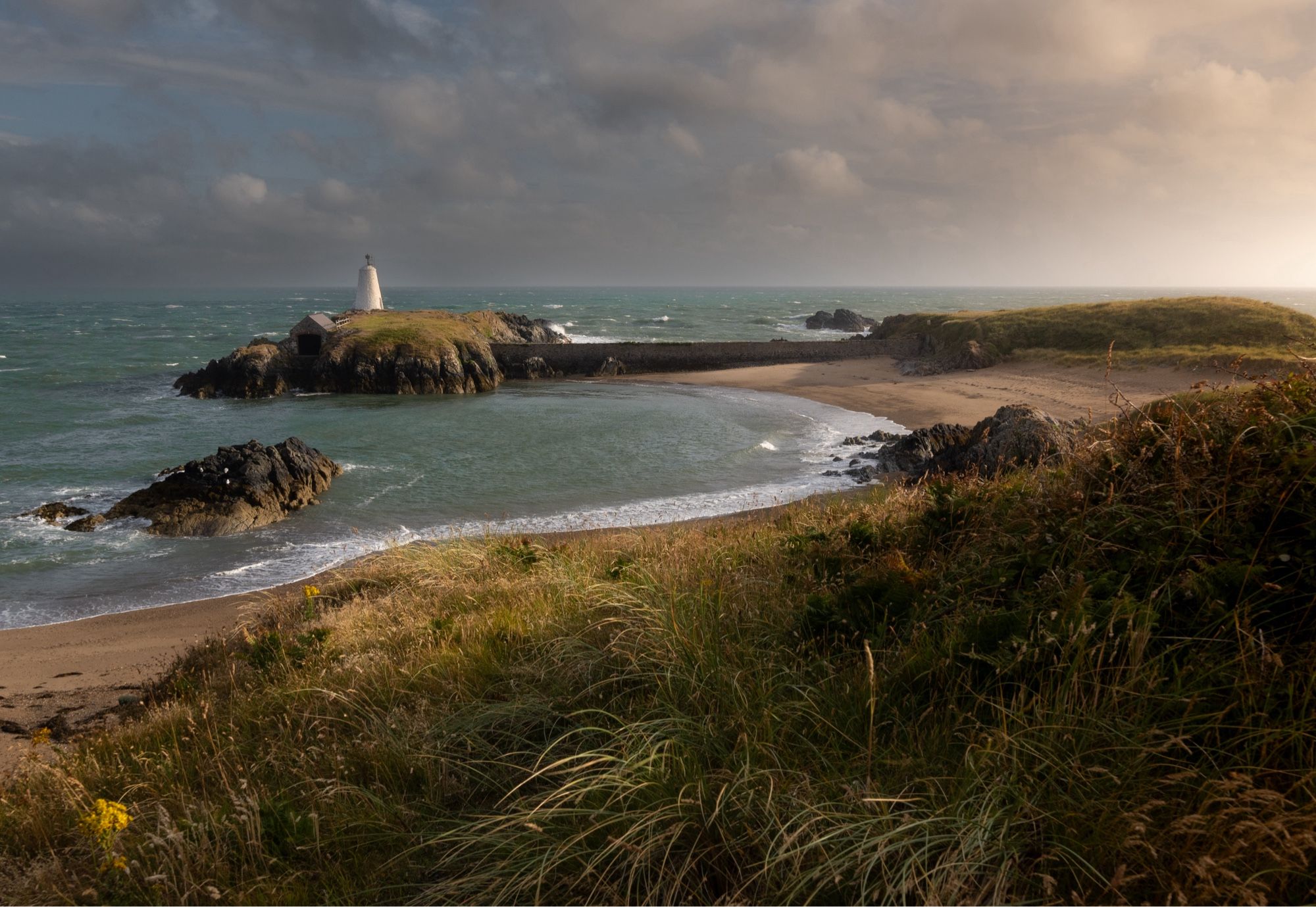 A small white lighthouse stands on top of a rocky island. In the foreground summer grasses.