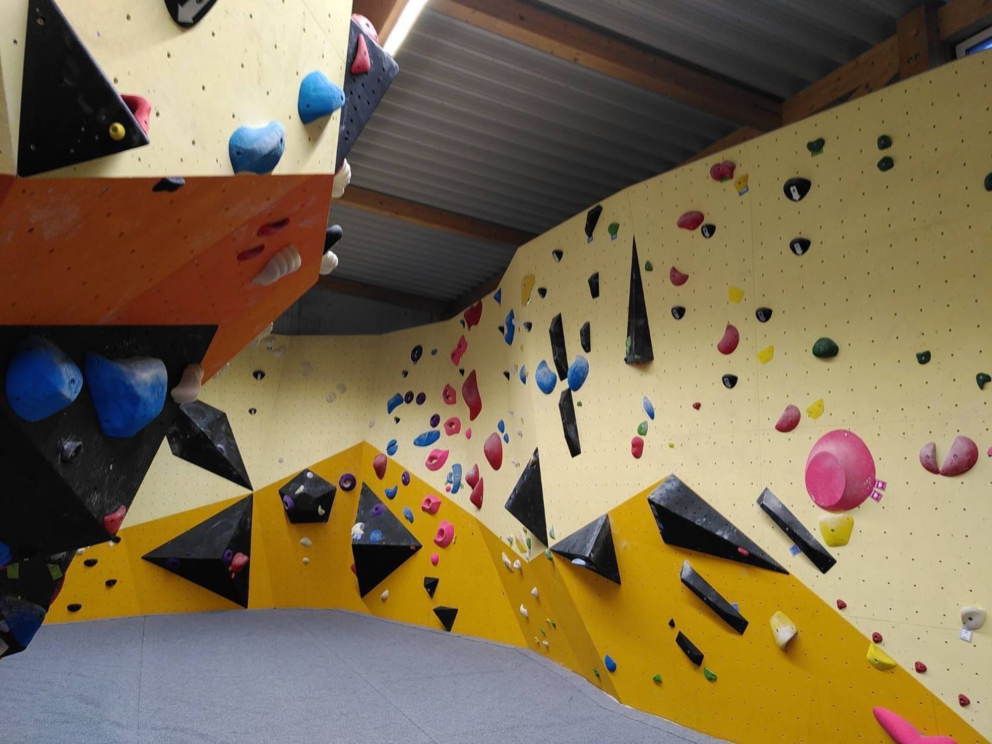 Die Wand einer Boulderhalle mit diversen farbigen Griffen und Tritten