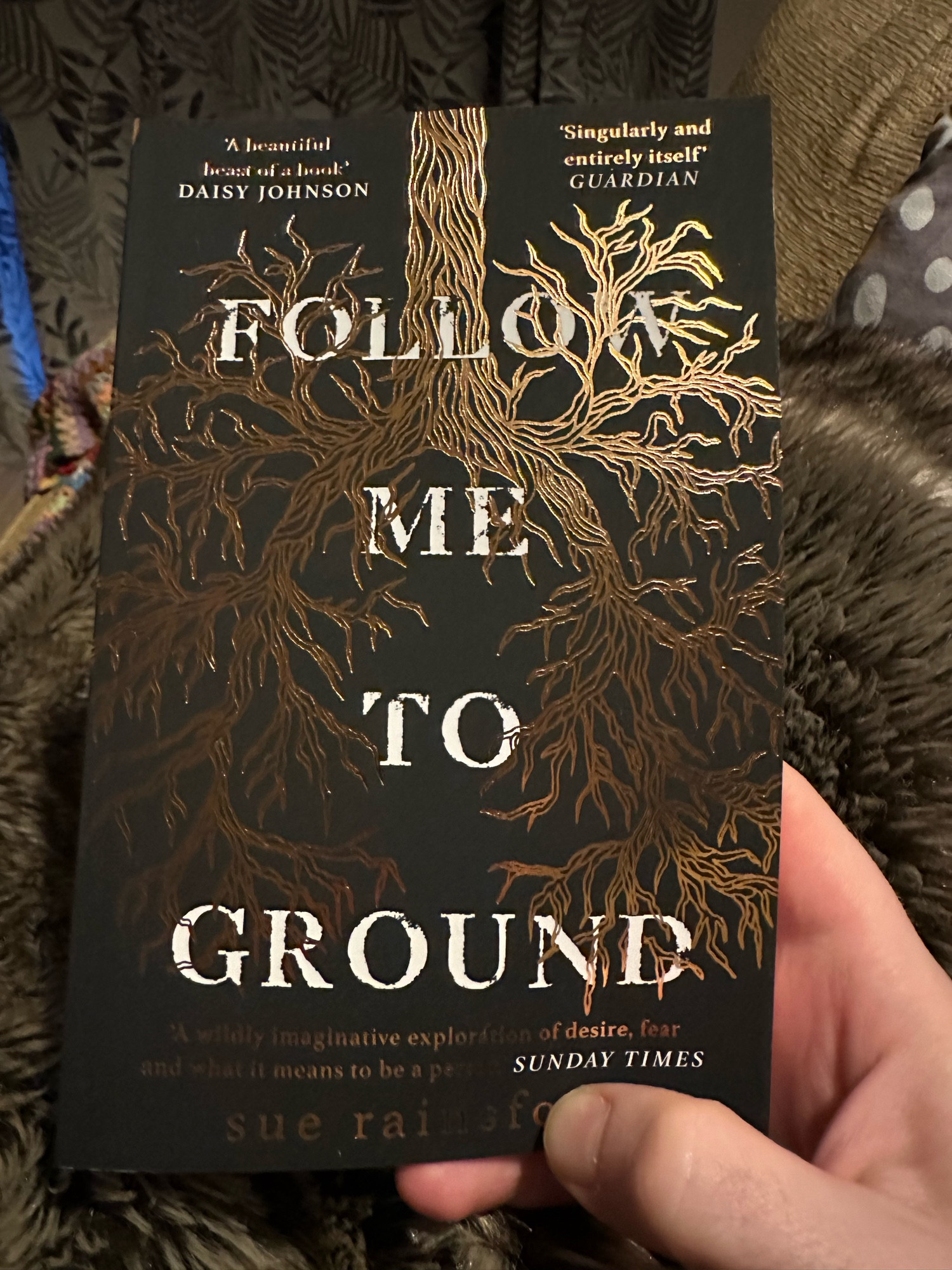 The cover of follow me to ground by Sue Rainsford