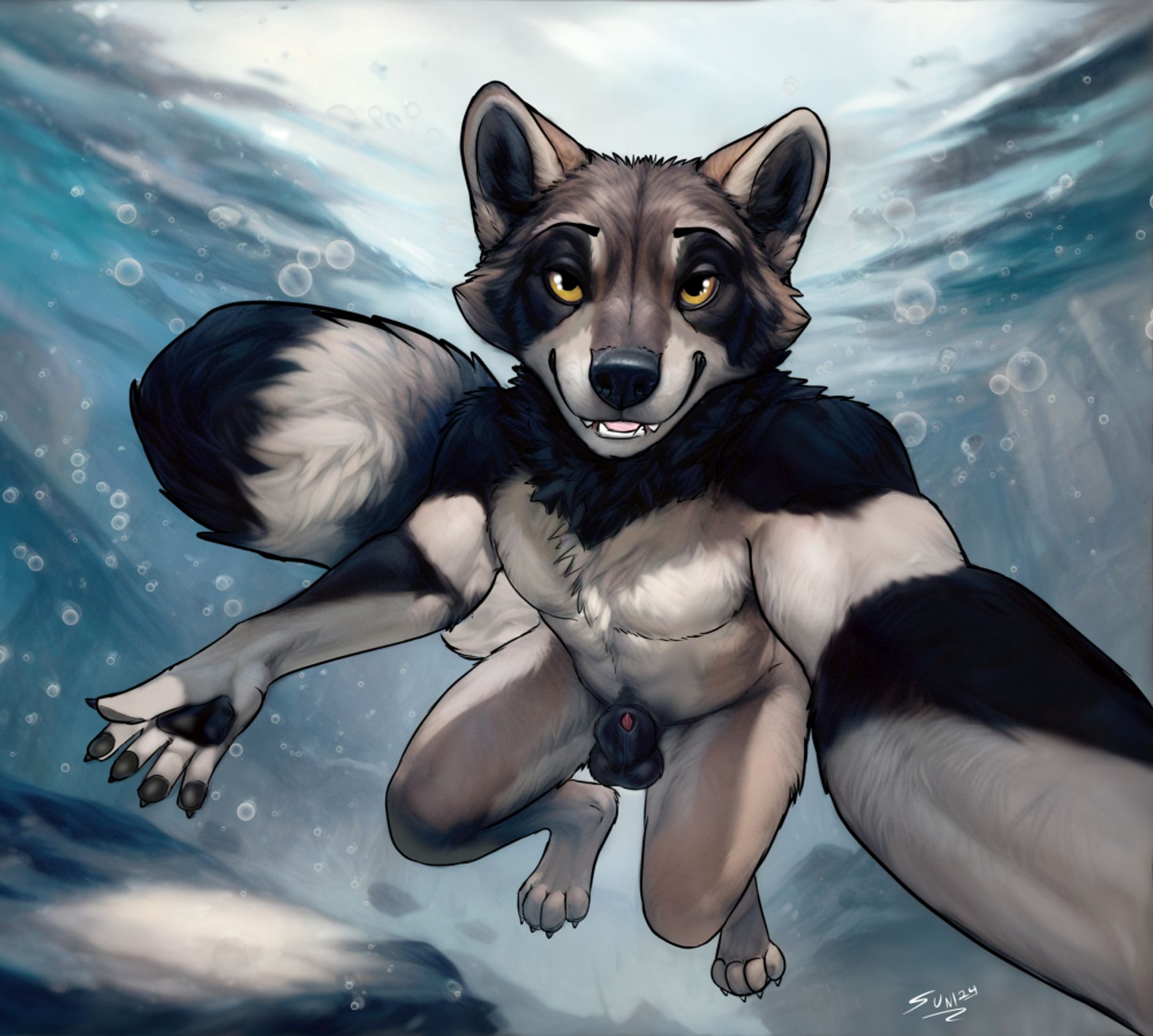 Naked raccoon under water