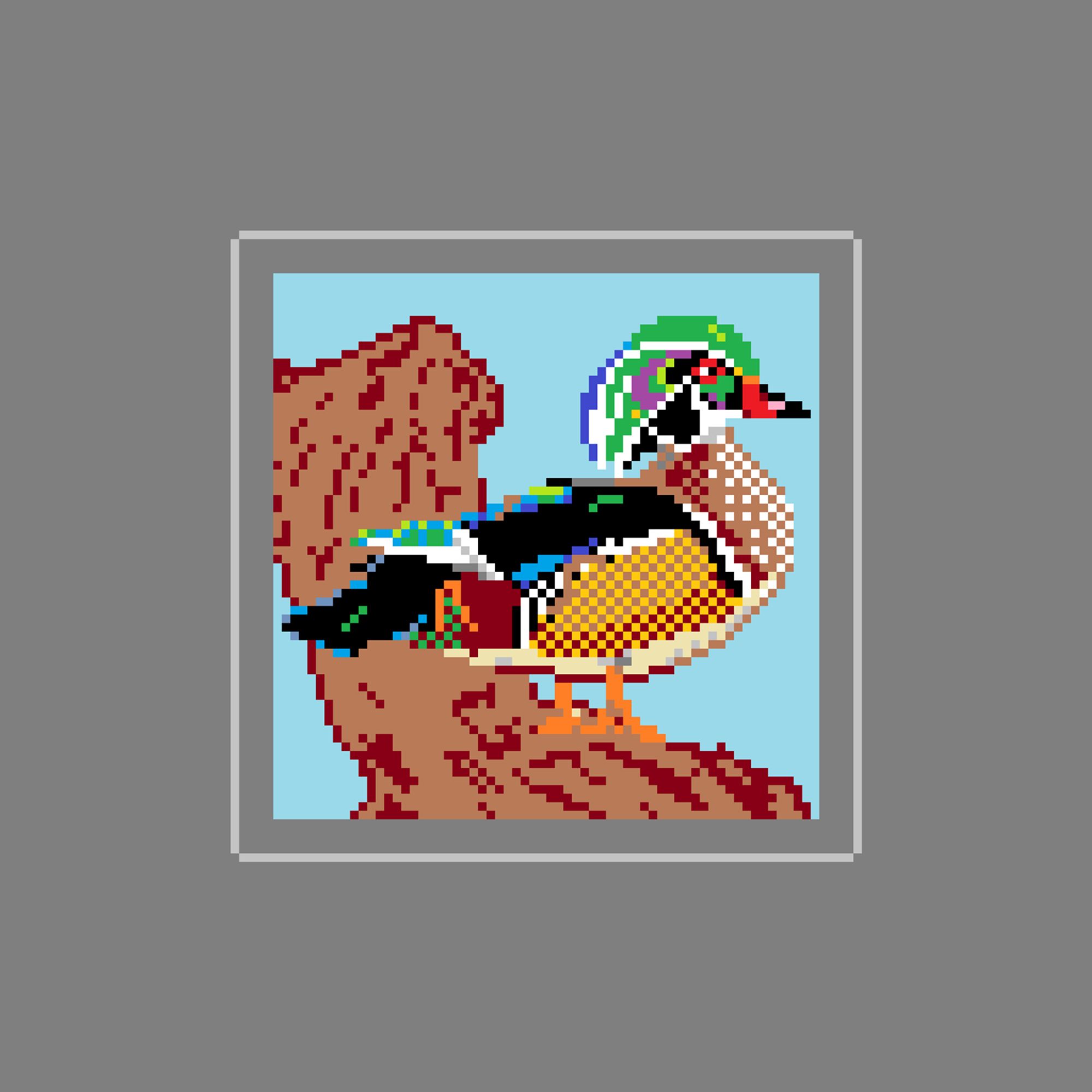 Pixel Art of a male wood duck sitting on a branch. The duck is a bit similar to a male mallard, but more colorful and iridescent, also it has a crested head and red eyes.