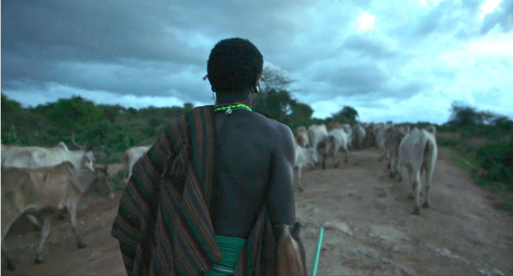 Still showing a pastoralist in The Battle For Laikipia