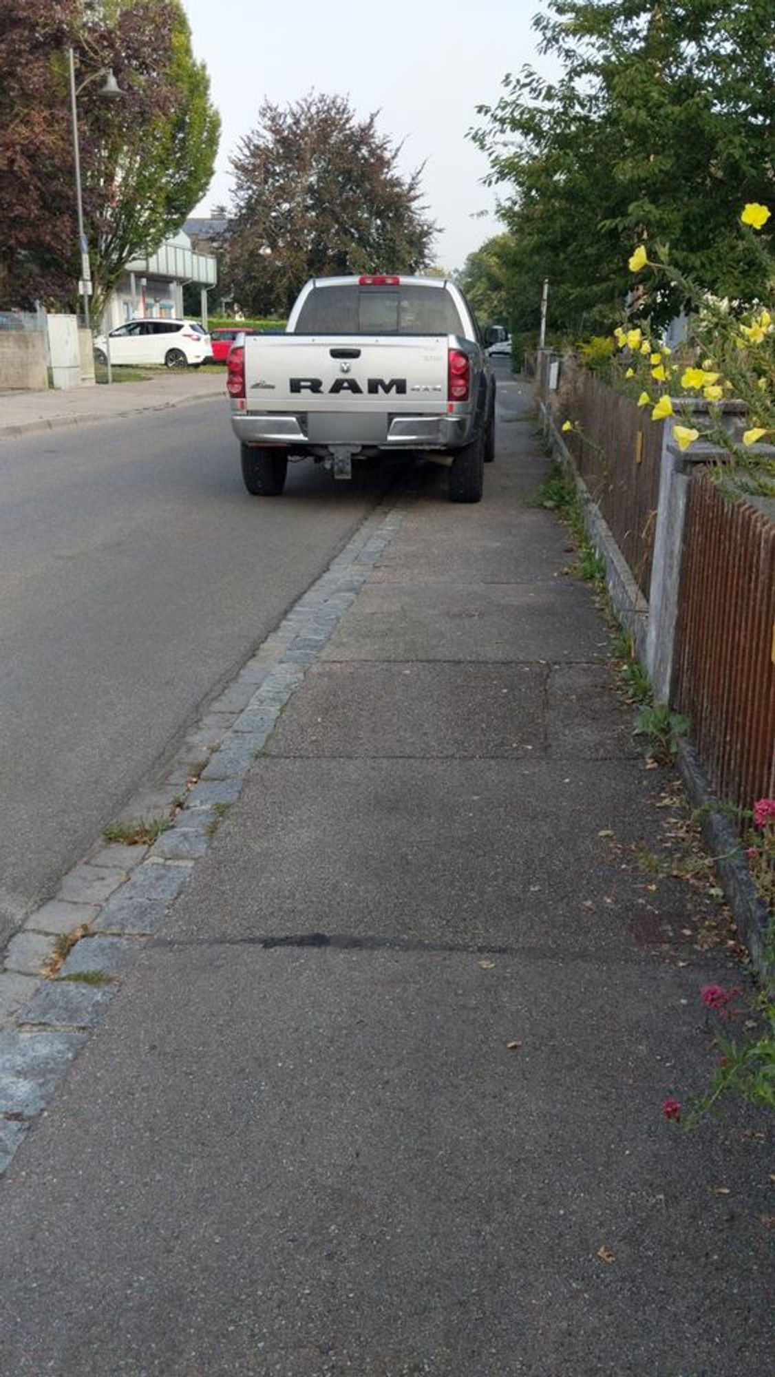 Das Bild zeigt einen silberfarbenen Dodge RAM Pickup, der halb auf einem Bürgersteig und halb auf der Straße parkt. Der Bürgersteig ist relativ schmal und wird durch das parkende Fahrzeug stark eingeschränkt, was den Durchgang für Fußgänger behindern könnte. Auf der rechten Seite des Bildes befindet sich ein Gartenzaun mit blühenden Pflanzen, während links Bäume und einige Gebäude zu sehen sind.