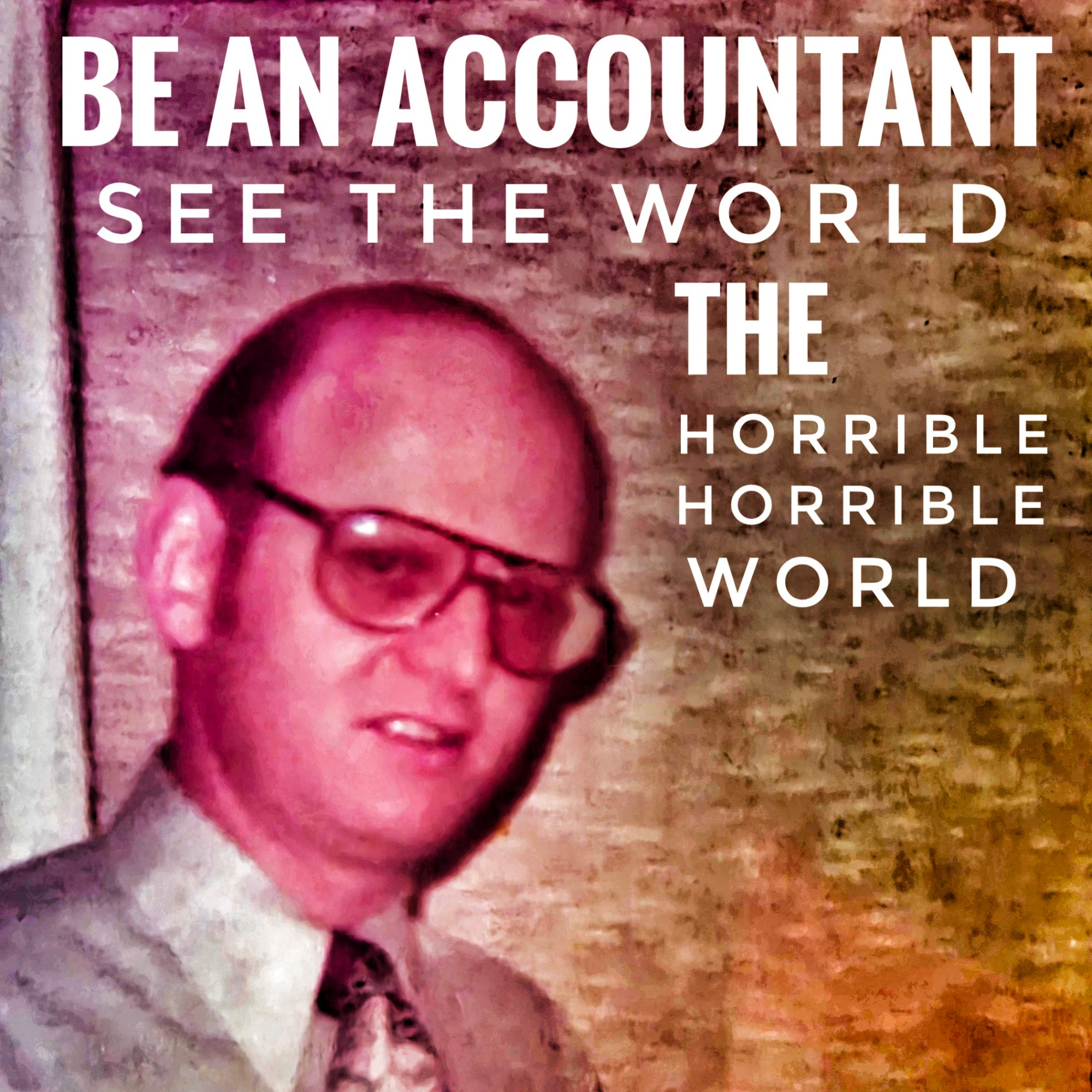 BE AN ACCOUNTANT see the world THE HORRIBLE HORRIBLE WORLD (photo of nerdy bald man in glasses maybe sneering a little)