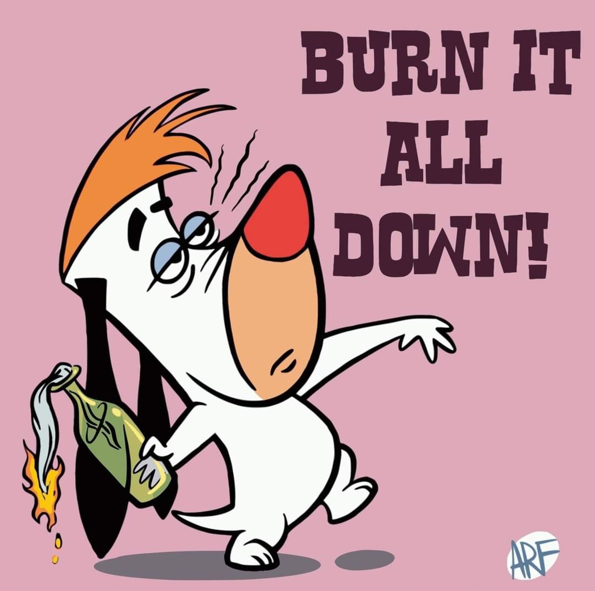 Stolen meme. Droppy Dog throwing a fire bomb. Words say, "Burn it all down!"