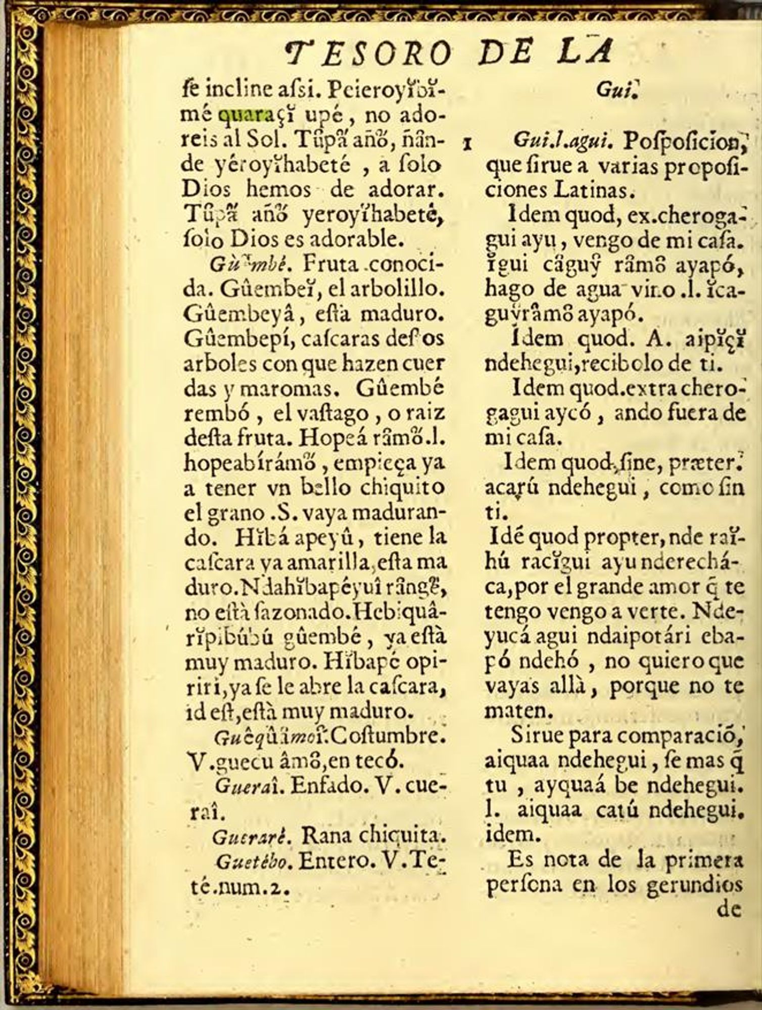 A photo of a Guarani dictionary from the 17th Century.