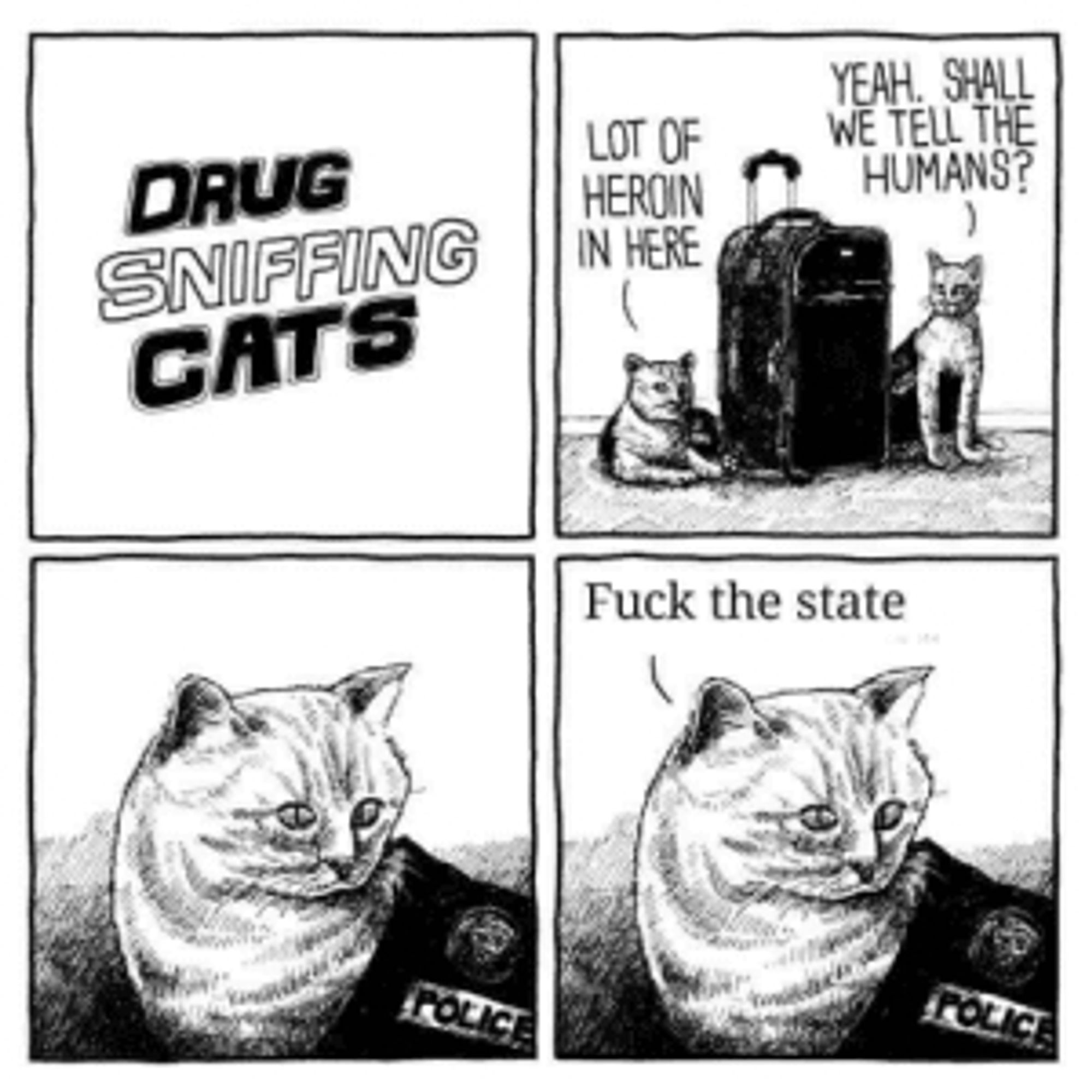 Drug sniffing cats web comic. They smell heroin in a travel bag. Debate telling the humans. And end with, "fuck the state"