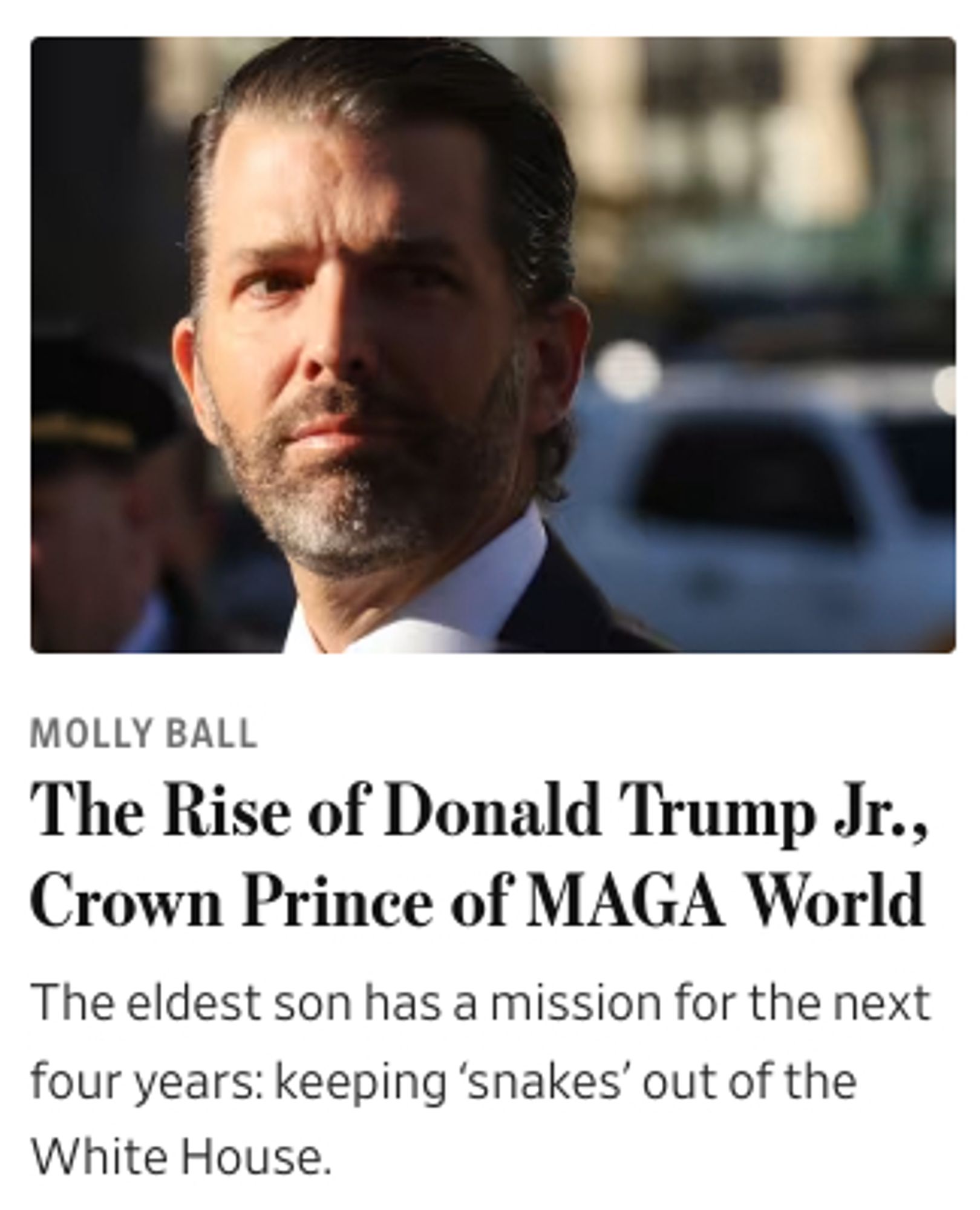 the rise of donald trump jr, crown prince of maga world