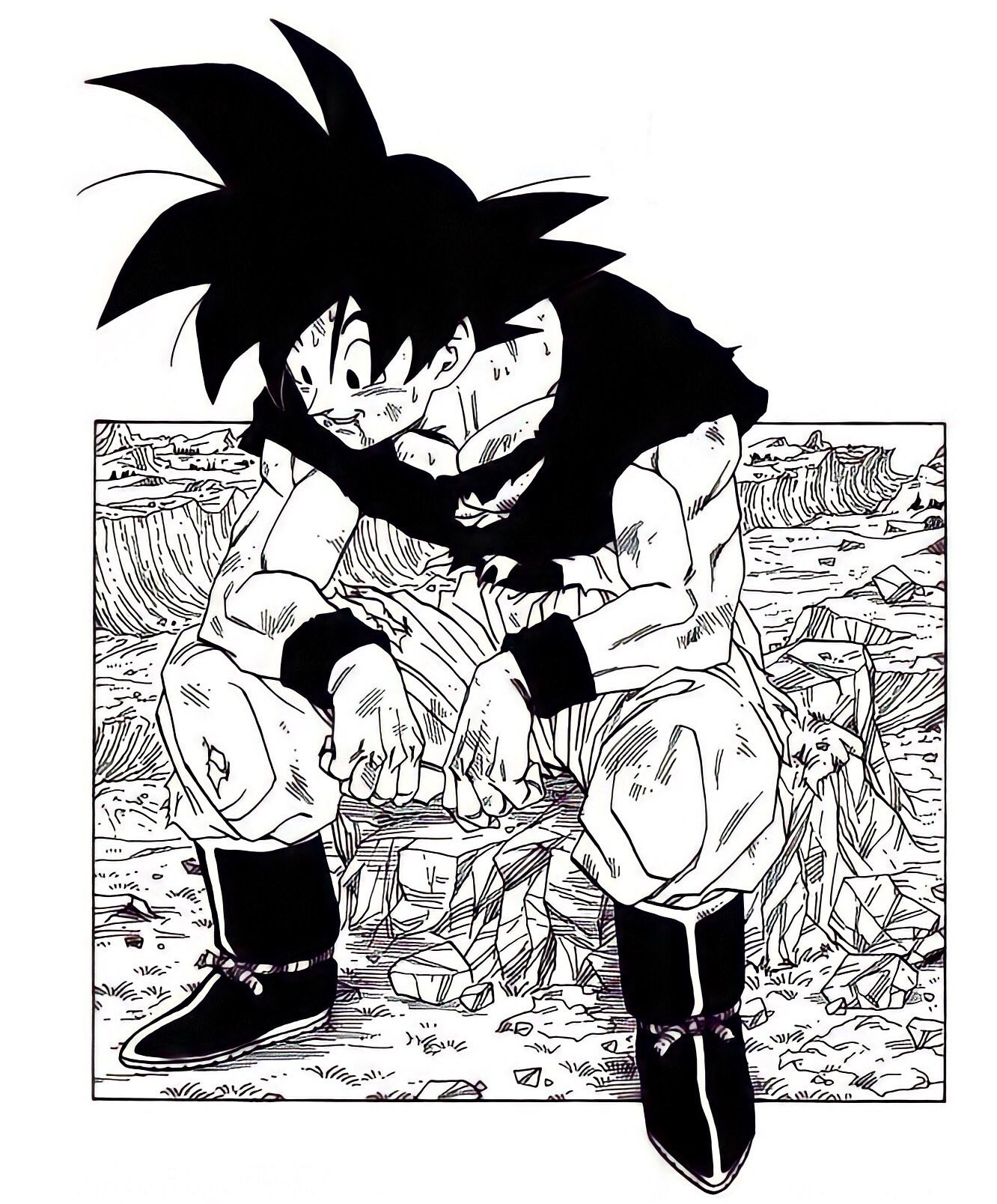 Goku sitting on a rock