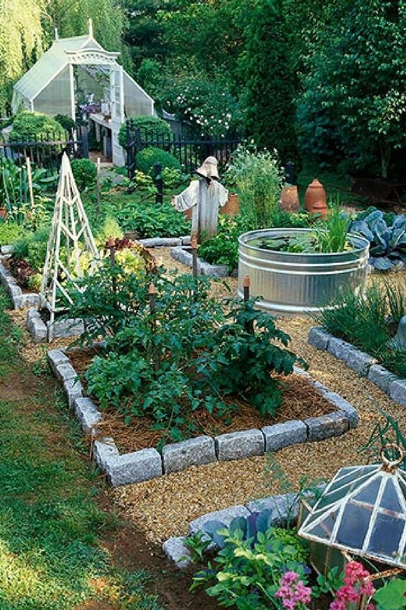 A small, but productive vegetable garden complete with scarecrow!