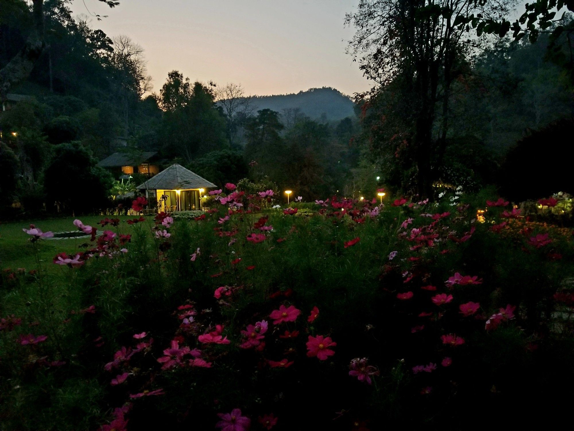 Sunset with mountain and trees in the background, a lighted Pavillion in midground, and a bunch of pink and red flowers in foreground 💜