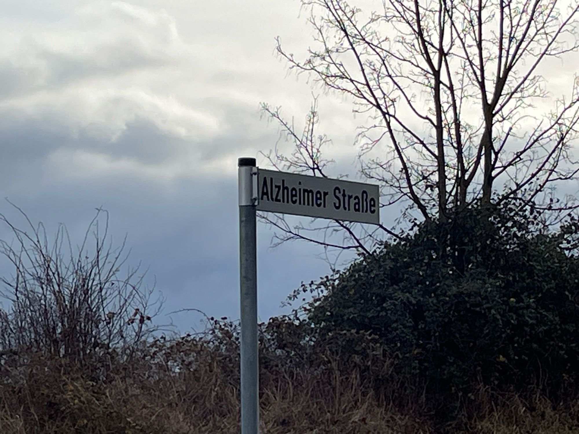 Straßenschild Alzheimer Straße in Mayen in der Eifel. Die Straße führt zum Ortsteil Alzheim.