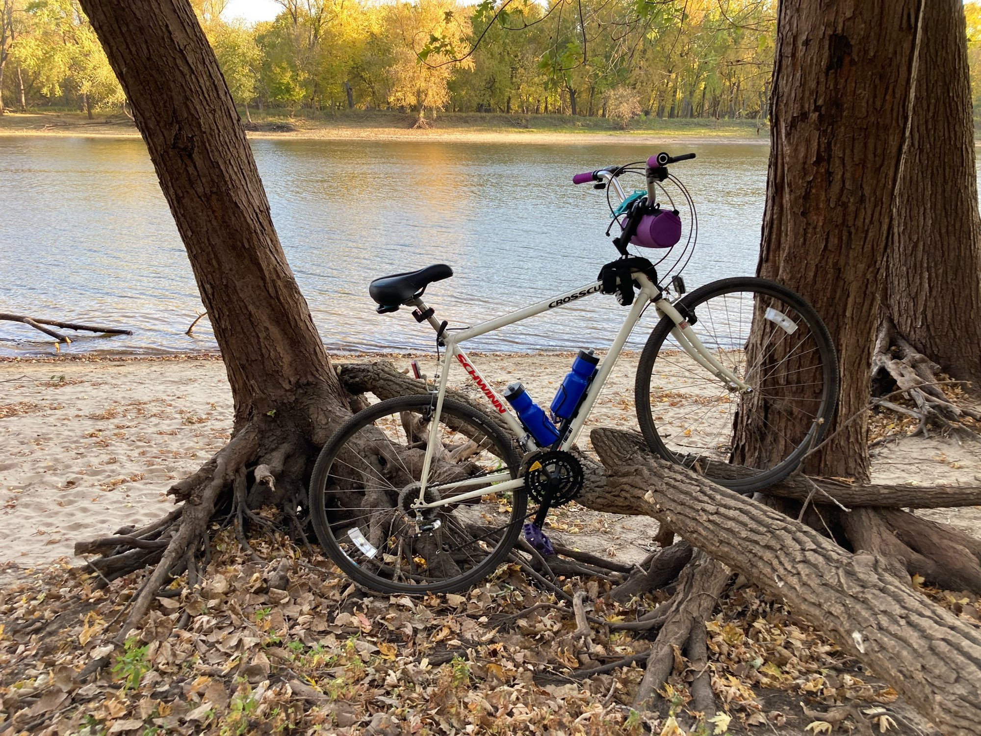 A white Schwinn bike parked up on a fallen log in front of a beach and the Mississippi River. 