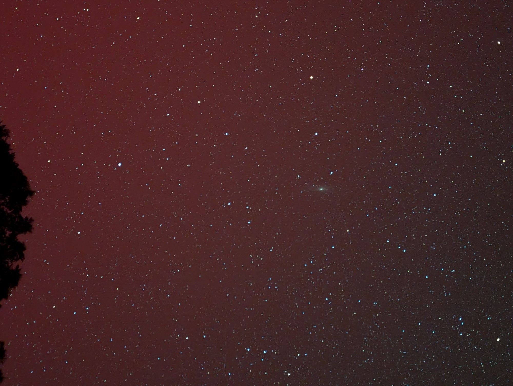 A tree is silhouetted on the left amidst the red glow of the aurora. Stars are everywhere, and the Andromeda Galaxy is to the right, a small fuzzy patch of light.