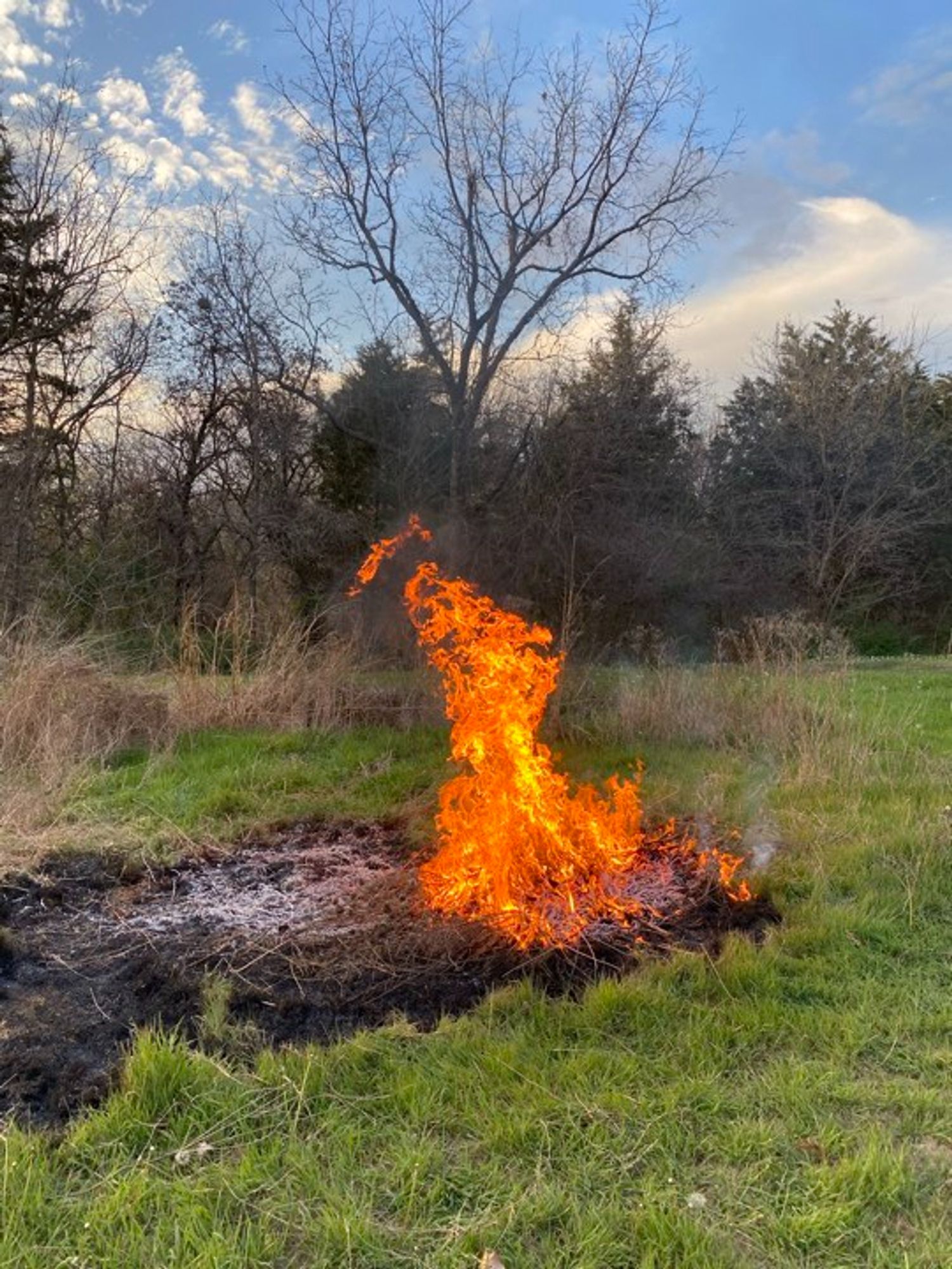 Orange tongue of fire shooting up from a black burned-out patch in an otherwise lush, green lawn.