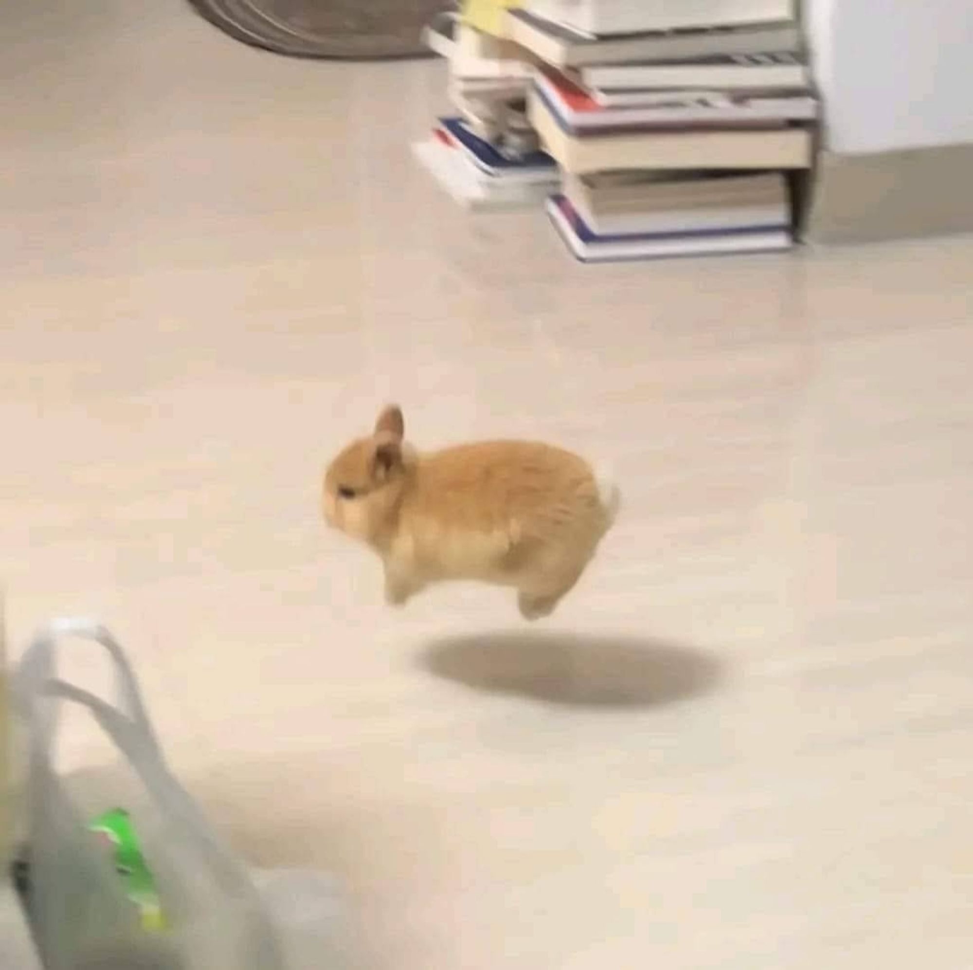 A tiny brown rabbit mid hop on a floor, so their shadow is offset, and it looks like they're hovering