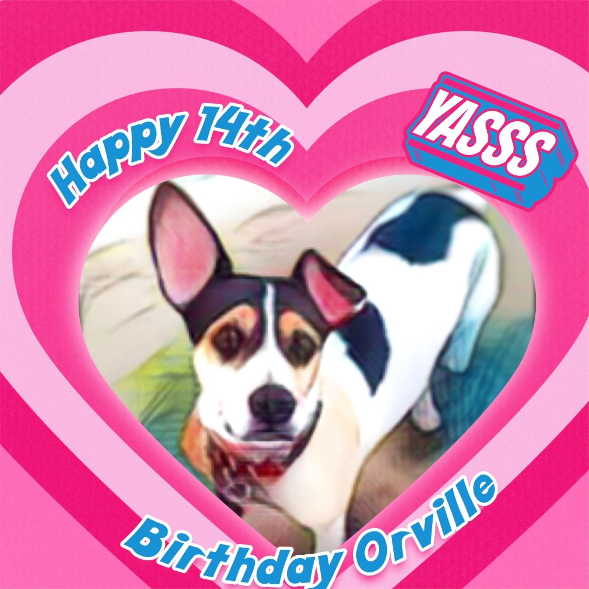 A birthday card design featuring a pink heart-shaped frame with blue text reading "Happy 14th Birthday Orville" and "YASSS". Inside the heart is a drawing of what is supposed resemble Orville on his birthday last year. He belongs to the relatively unknown supspecies Canis lupus familiaris subsp. puppuccinius. 

The design uses a bright pink color scheme with blue accenting text.