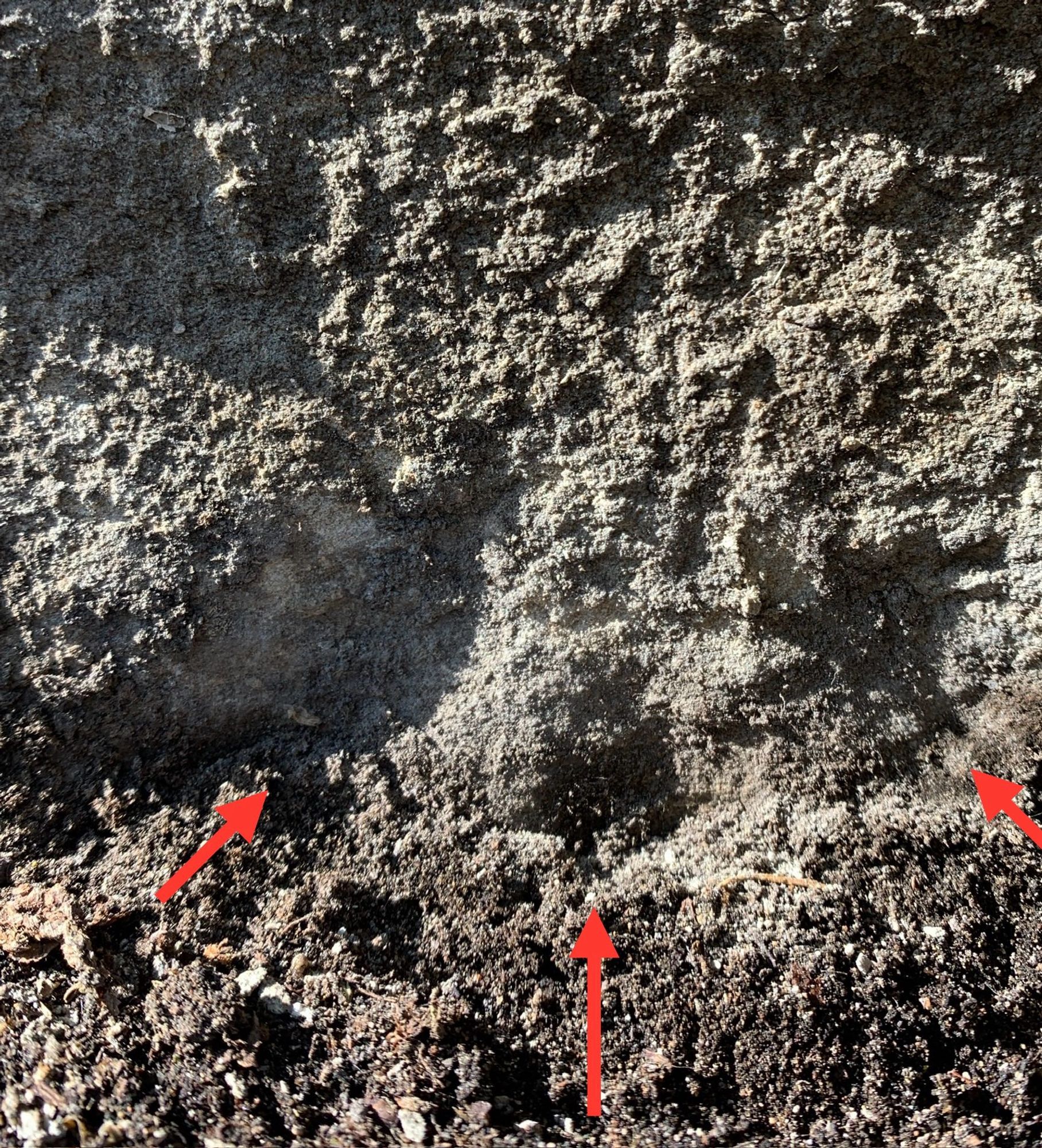 This probable cut mark is at ground level on one of the many stone posts in Cheltenham. Another benchmark the previous logger couldn’t find, assumed destroyed, only this hint of an arrow suggests its position, the datum eroded completely.