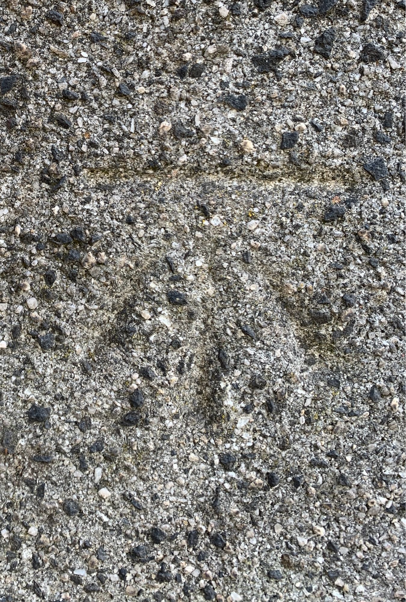 Pressed mark in a concrete canal bridge over the Birmingham & Worcester Canal, so well camouflaged that the previous logger was convinced it didn’t exist.