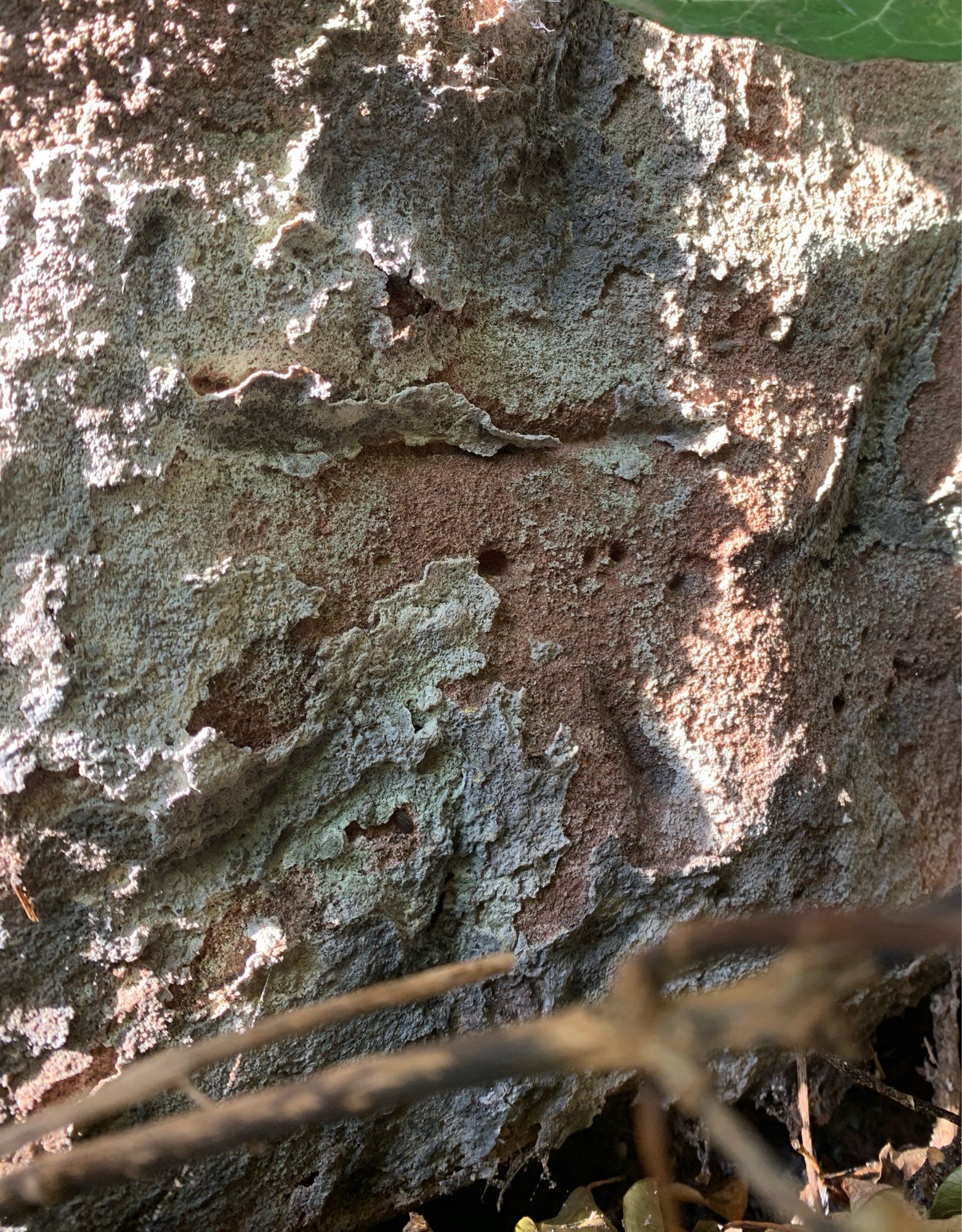 This barely discernible mark in Worcester has been cut in the crumbly red sandstone of a railway bridge. Hard enough to find in this condition but made even more so as it’s now behind spiked galvanised steel fencing.