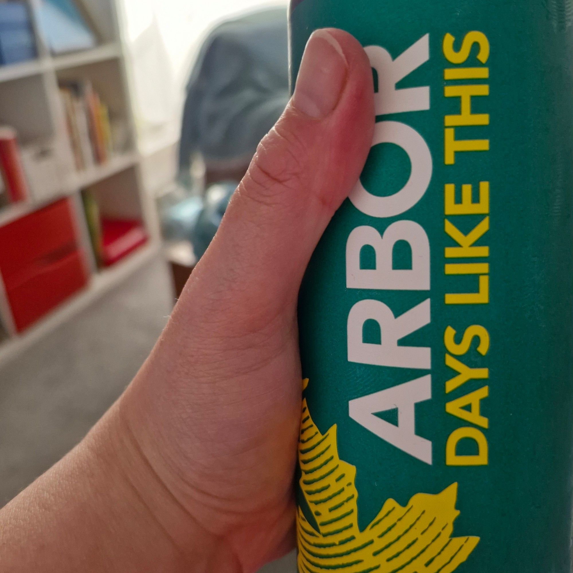 My hand holding a can of Abor Ale's Days Like This.