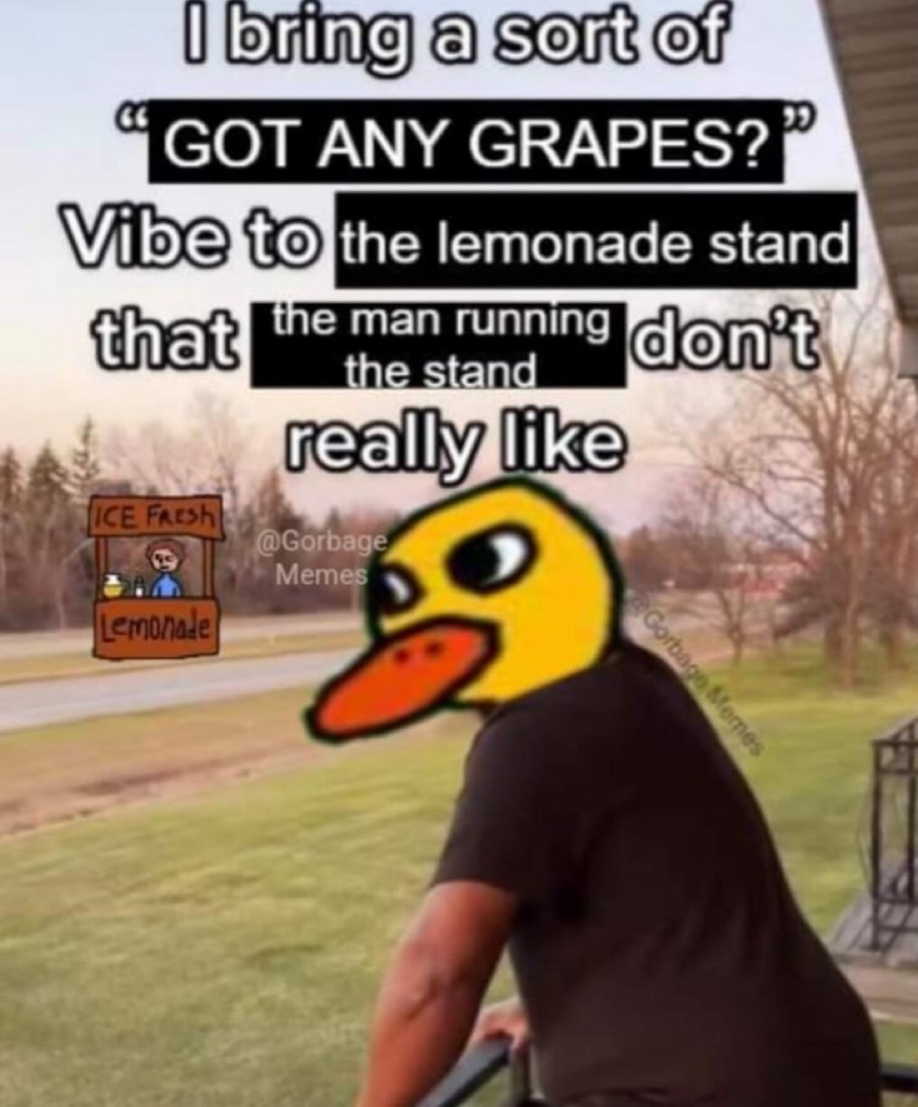 Uma imagem de um homem sentado, mas no lugar da cabeça dele tem a cabeça daquele patinho da música das grapes, um meme super antigo. La no fundo, tem um estande de limonada, que faz parte do mesmo meme. Na imagem está escrito: I bring a sort of "Got any grapes?" Vibe to the lemonade stand that the man running the stand don't really like"