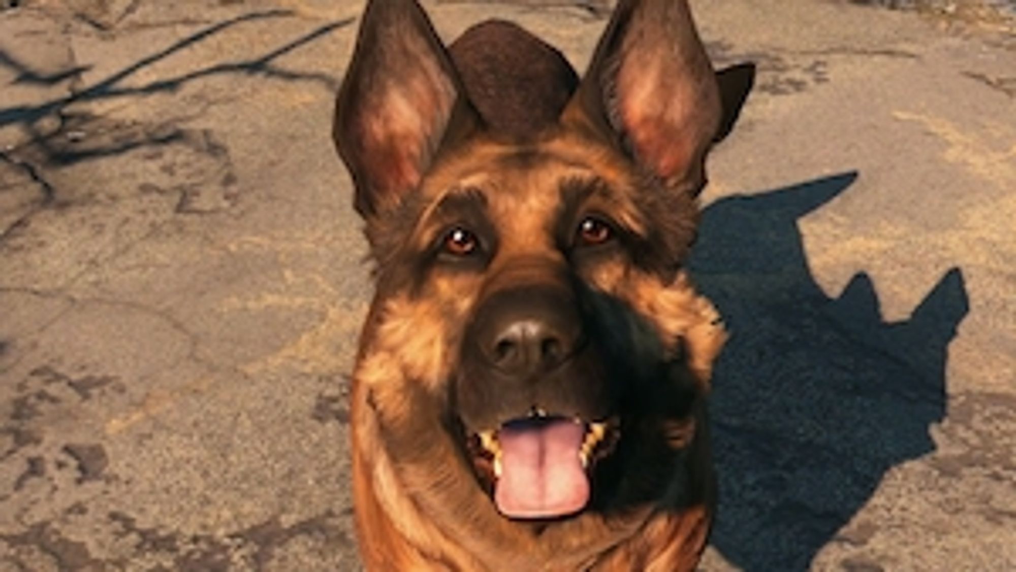 A picture of dogmeat, a German shepherd companion you can have in the Fallout video game