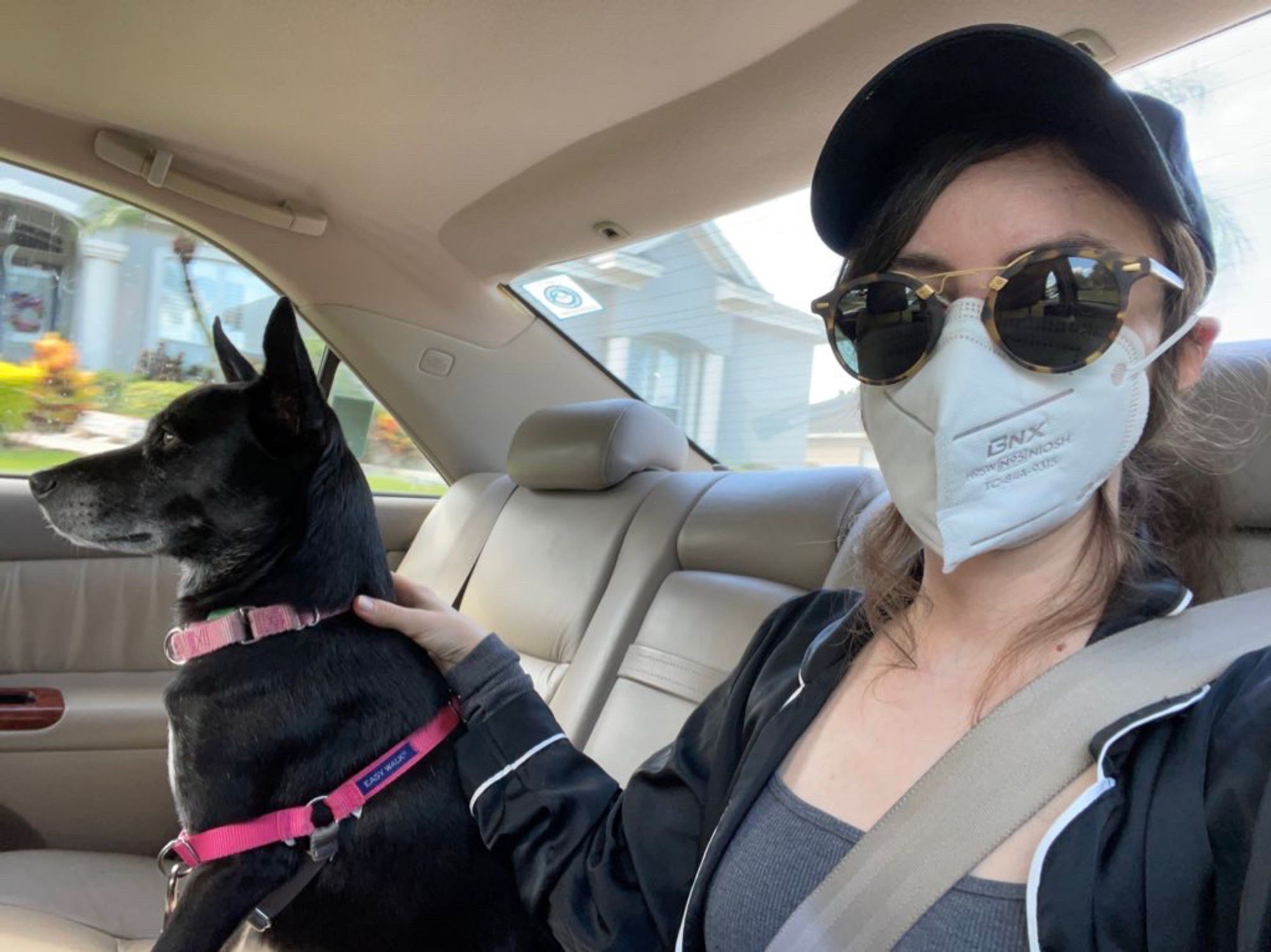 Me and my dog Luna (black, pointy) riding in the back seat of my husband's car. She is sitting nicely.