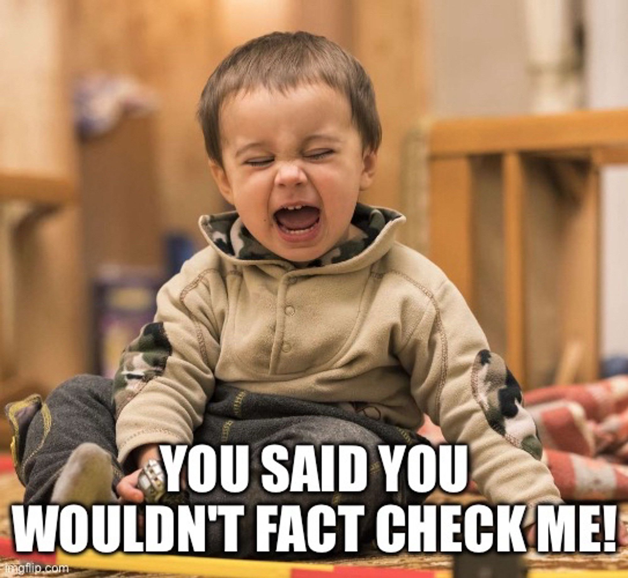 Image of a screaming child with the caption "You said you wouldn't fact check me!"