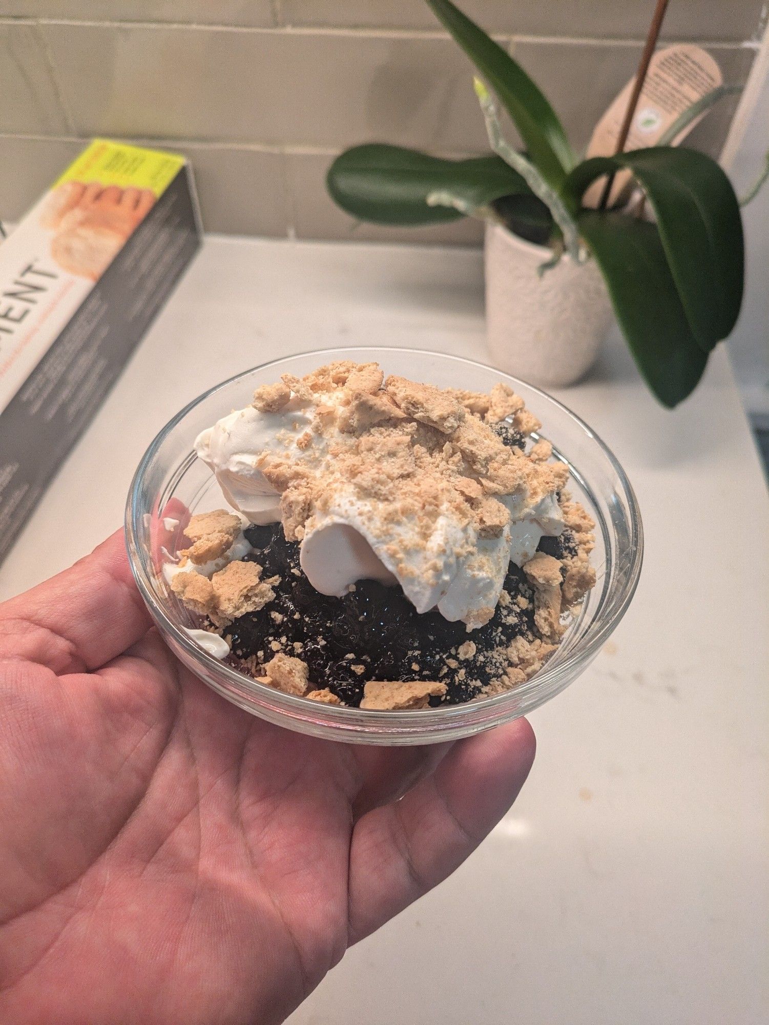 Blueberry compote over Greek yogurt, topped with mascarpone whipped cream and crushed graham cracker