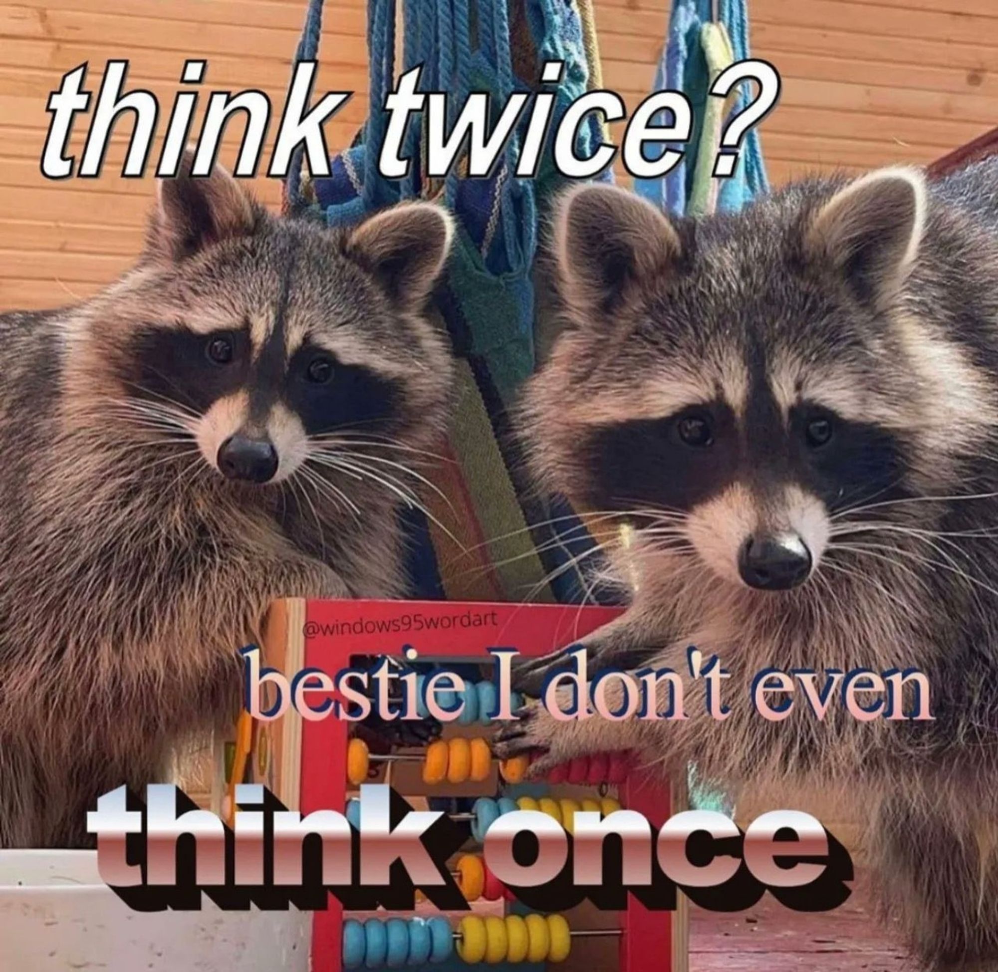 Two raccoons with the caption "Think twice? Bestie I don't even think once."