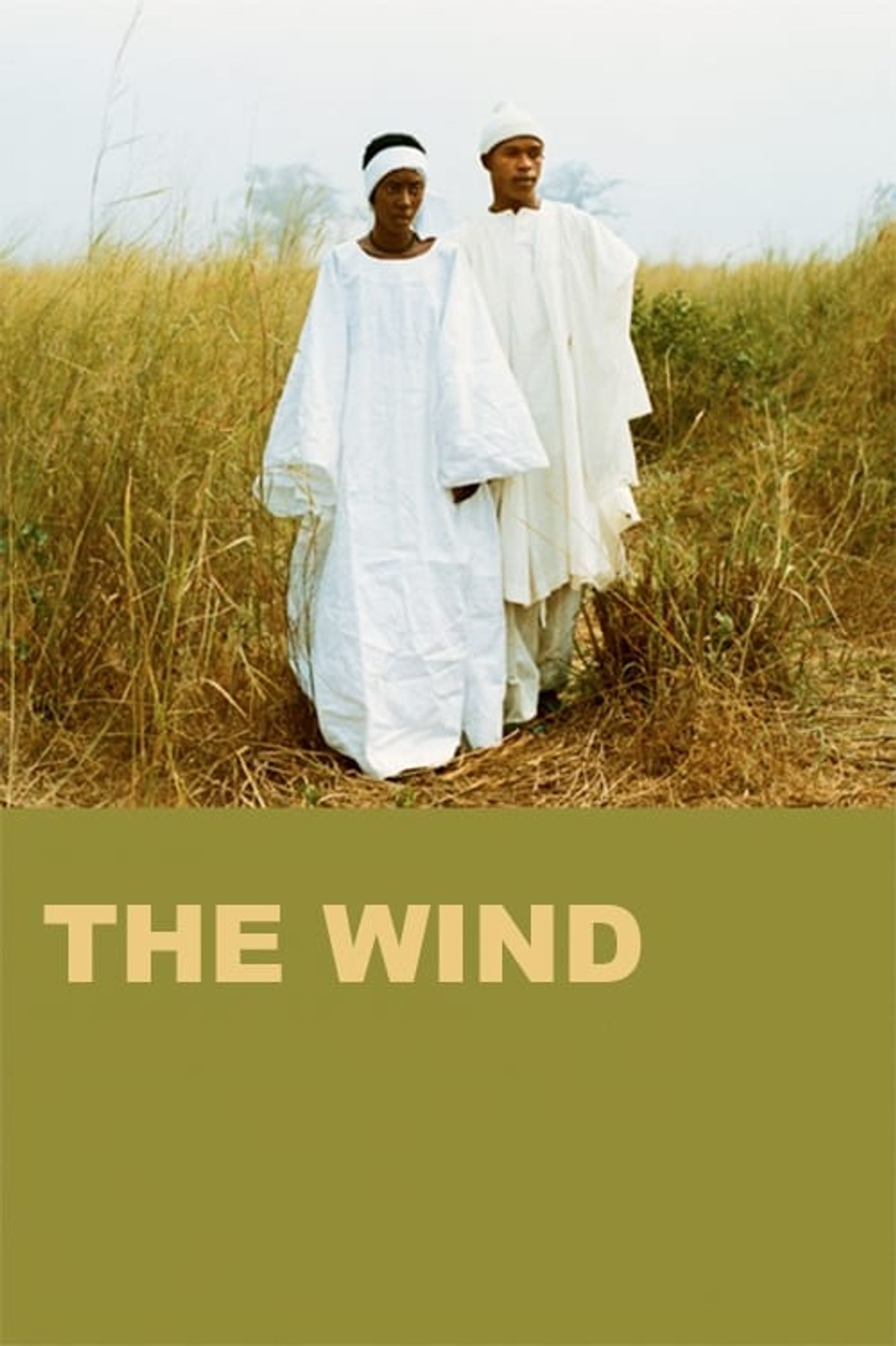 A poster for The Wind.