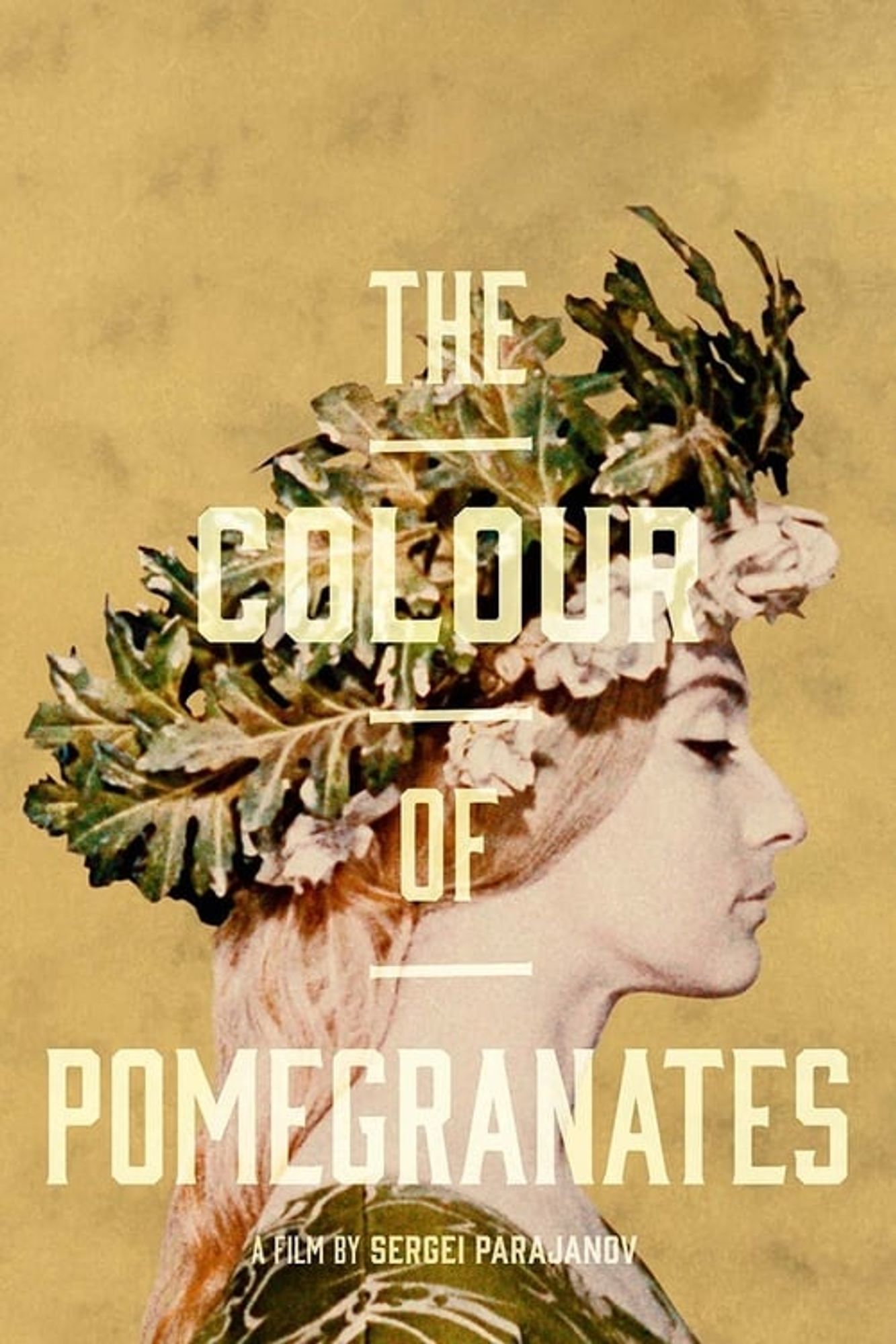 A poster for The Color of Pomegranates.