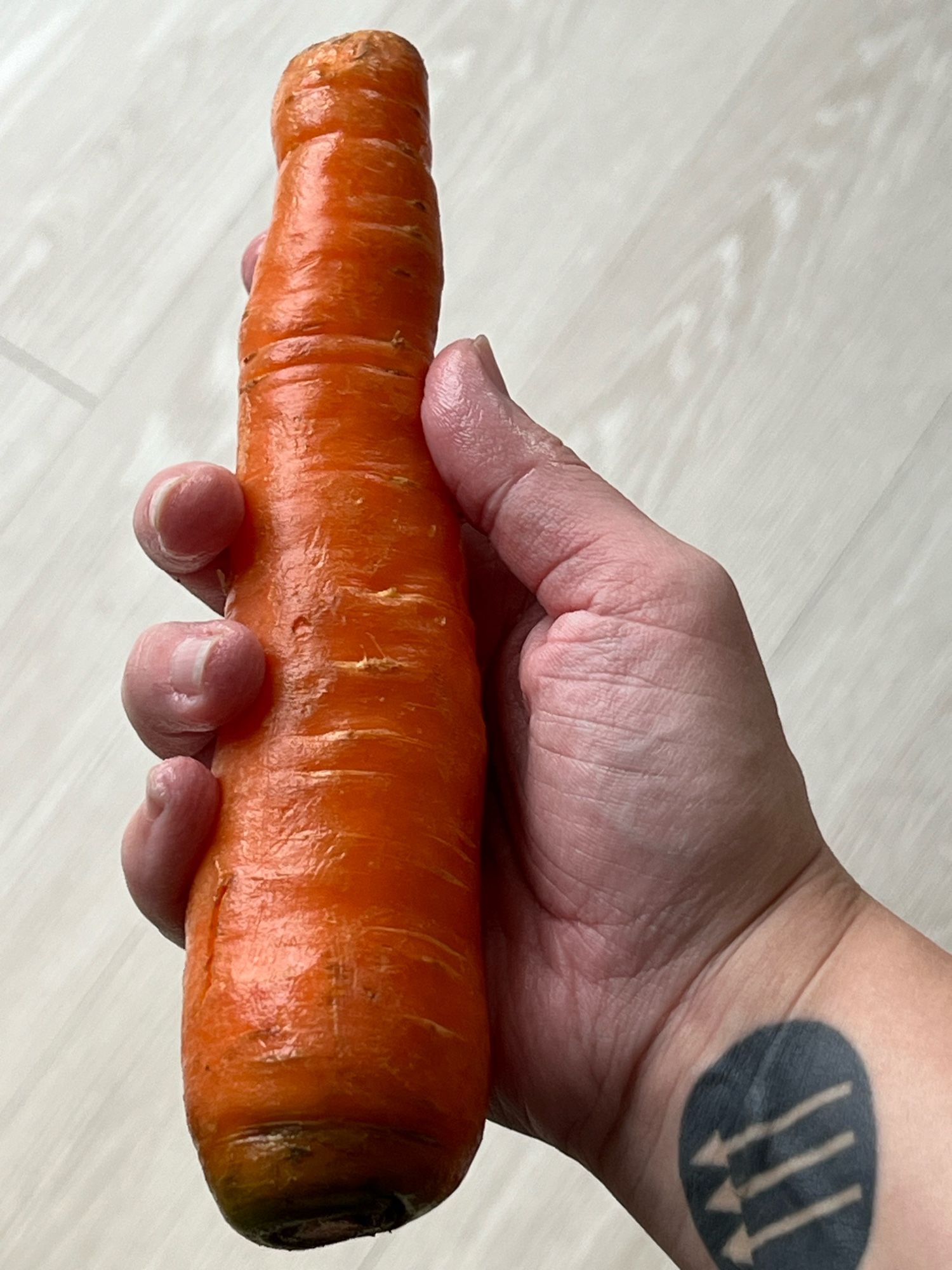 a light-skinned hand with an iron front tattoo on the wrist holds one obscenely large carrot.