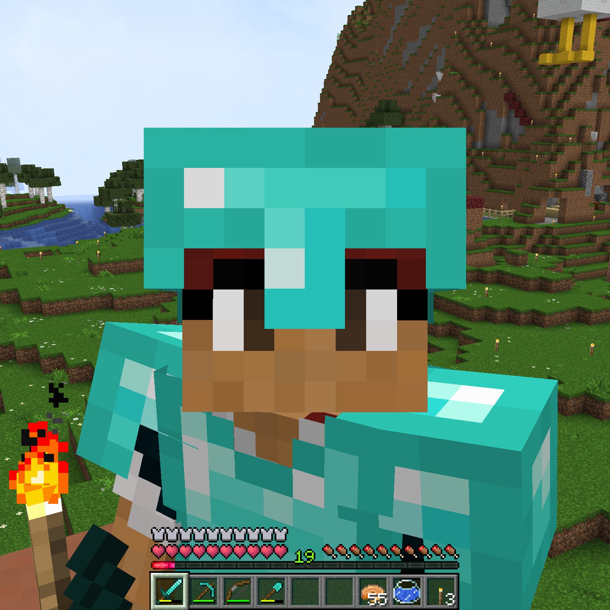 The background shows the edge of a minecraft hill and green plains.
Smack dab in the middle taking up the photo is a minecraft character with red hair, black eyebrows, and brown eyes. They are wearing a bright blue teal helmet, chestplate, and is holding a torch in their hand. Staring deep into the viewers soul.